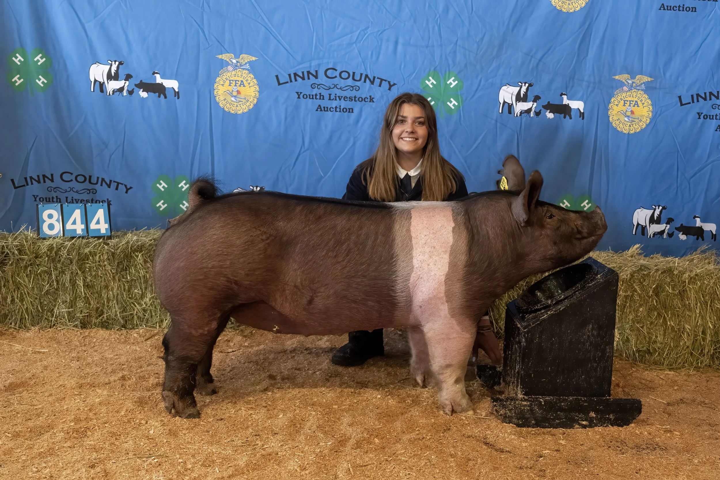 Swine 844 (1 of 1).jpg