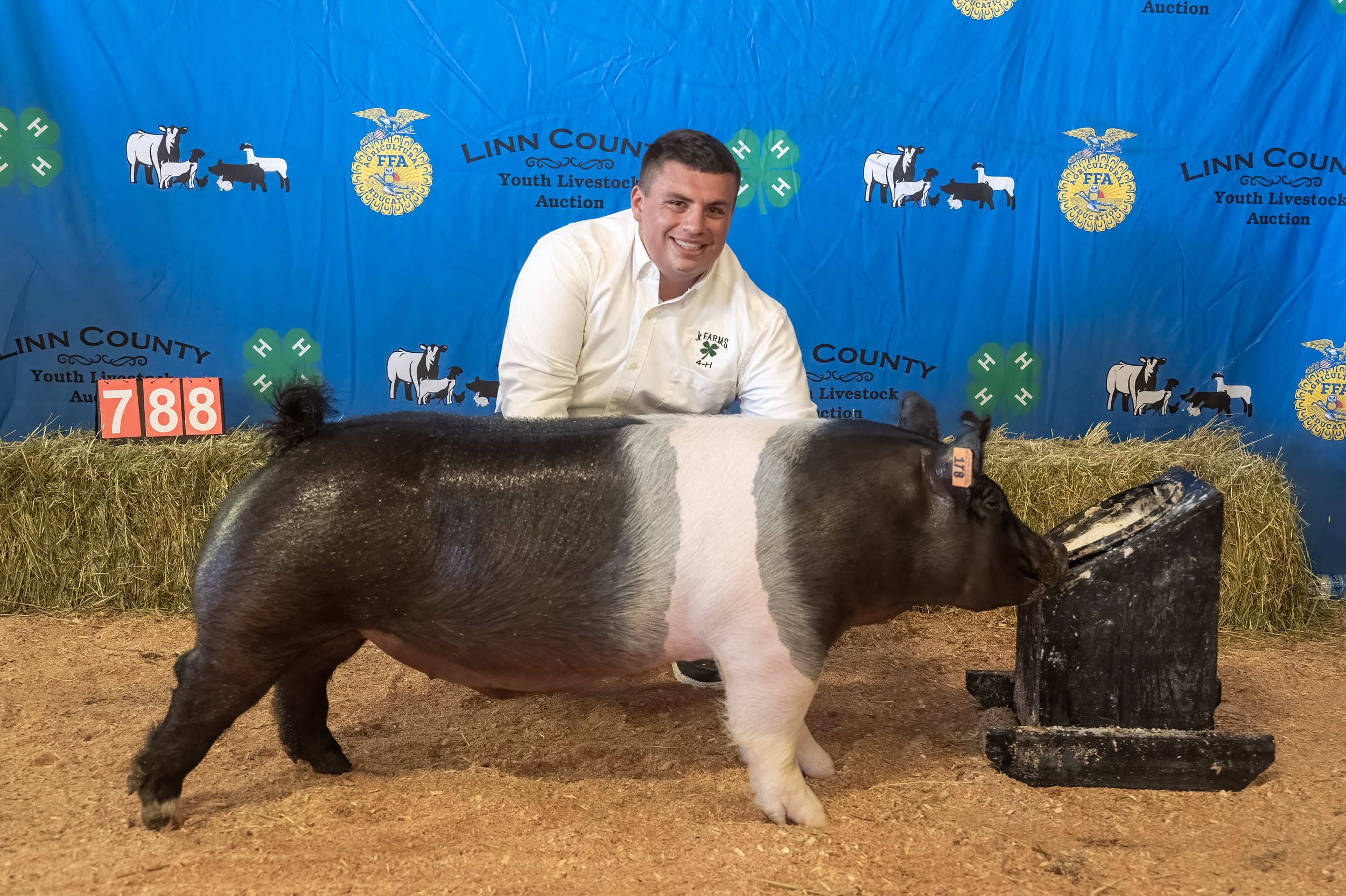Swine 788 (1 of 1).jpg