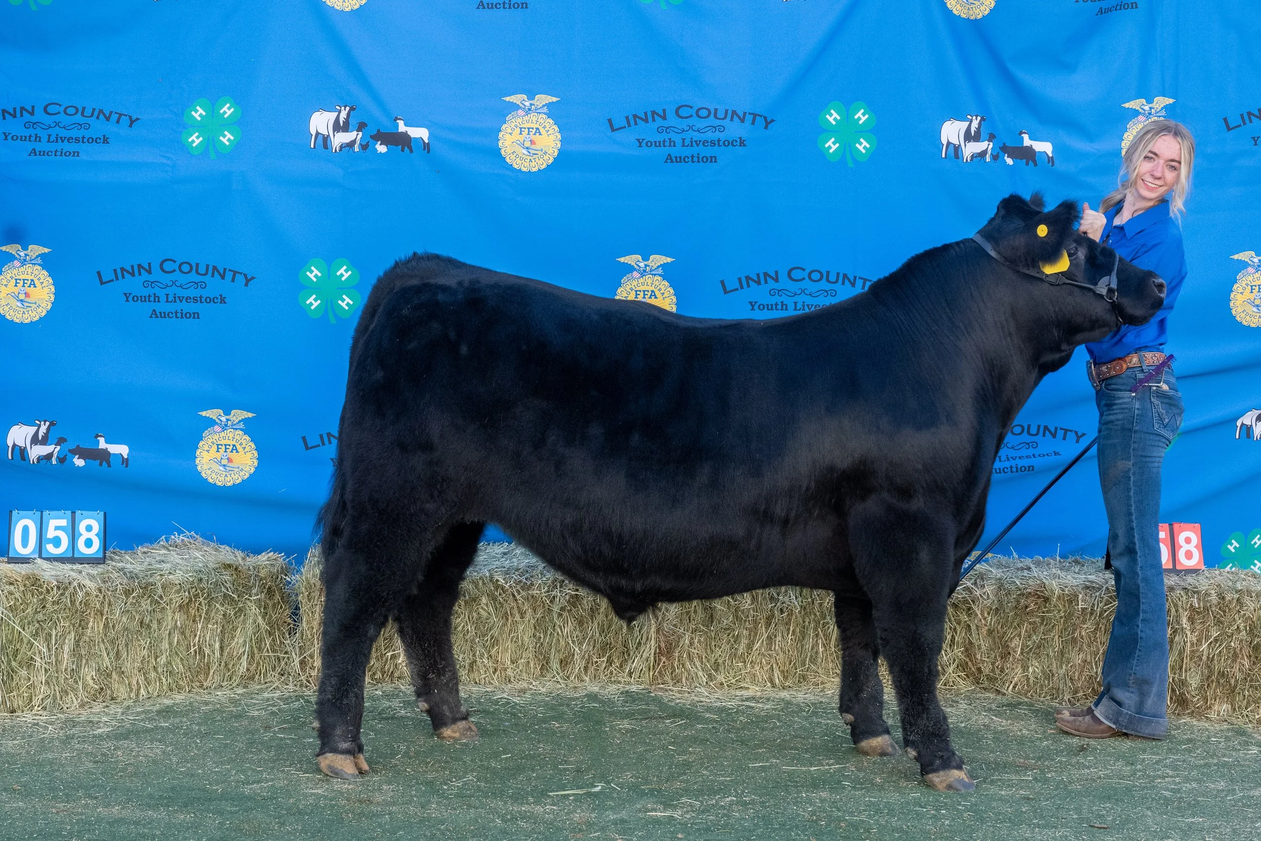 Beef 058 (1 of 1).jpg