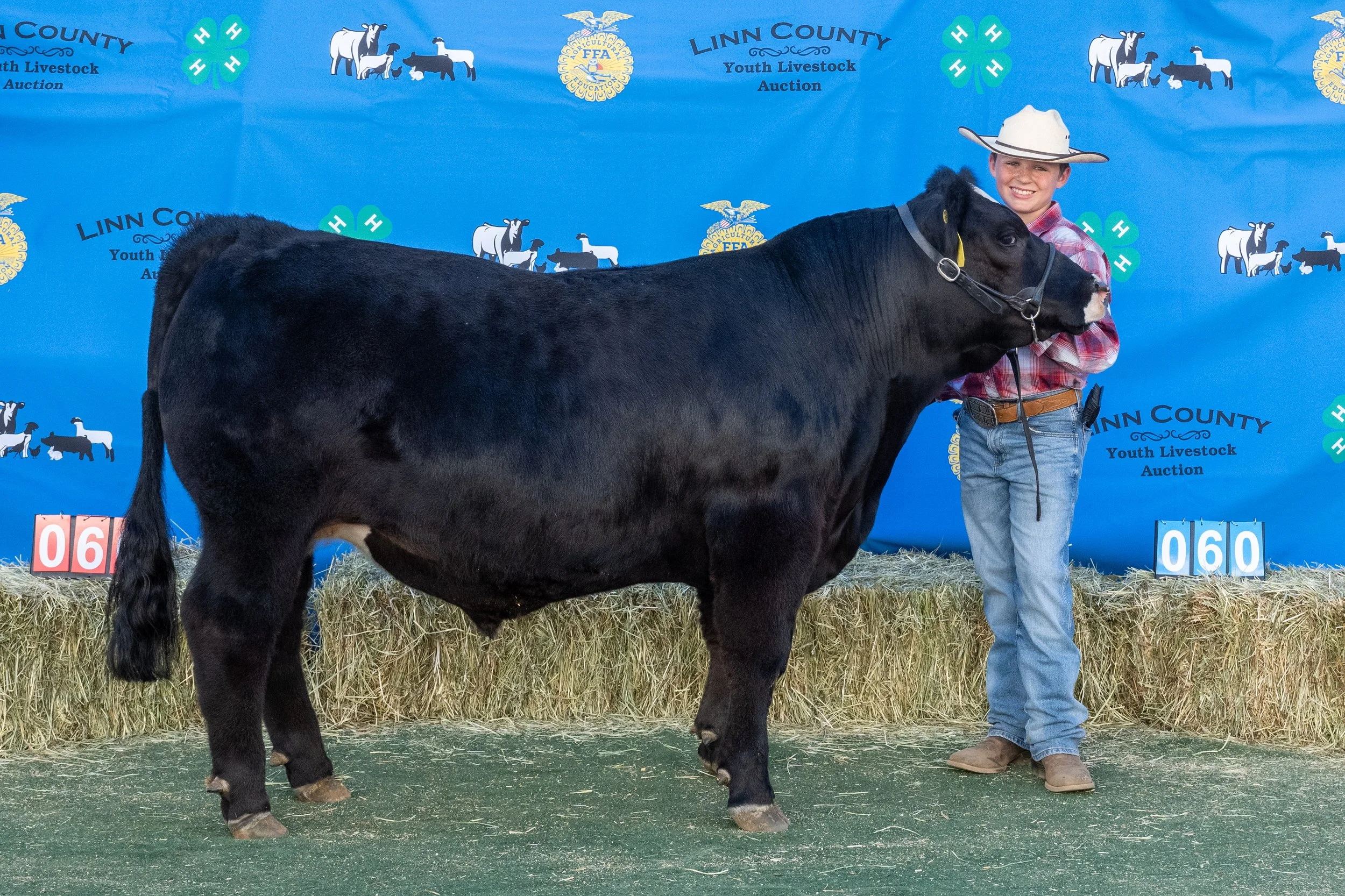 Beef 060 (1 of 1).jpg