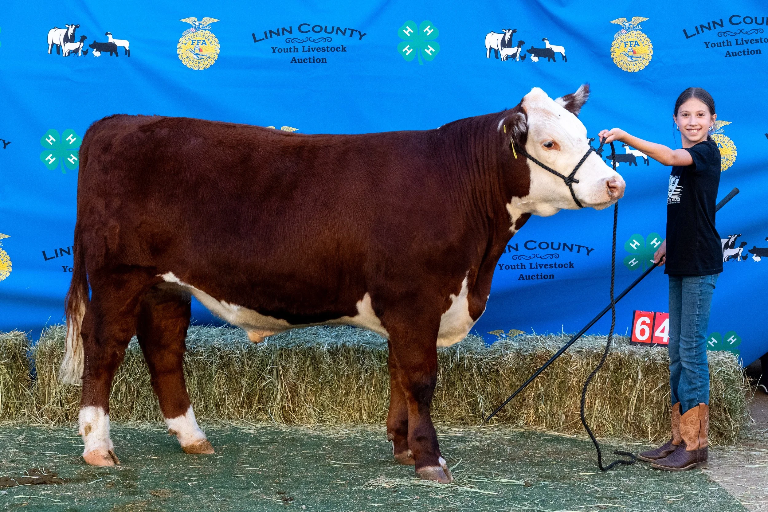 Beef 064 (1 of 1).jpg