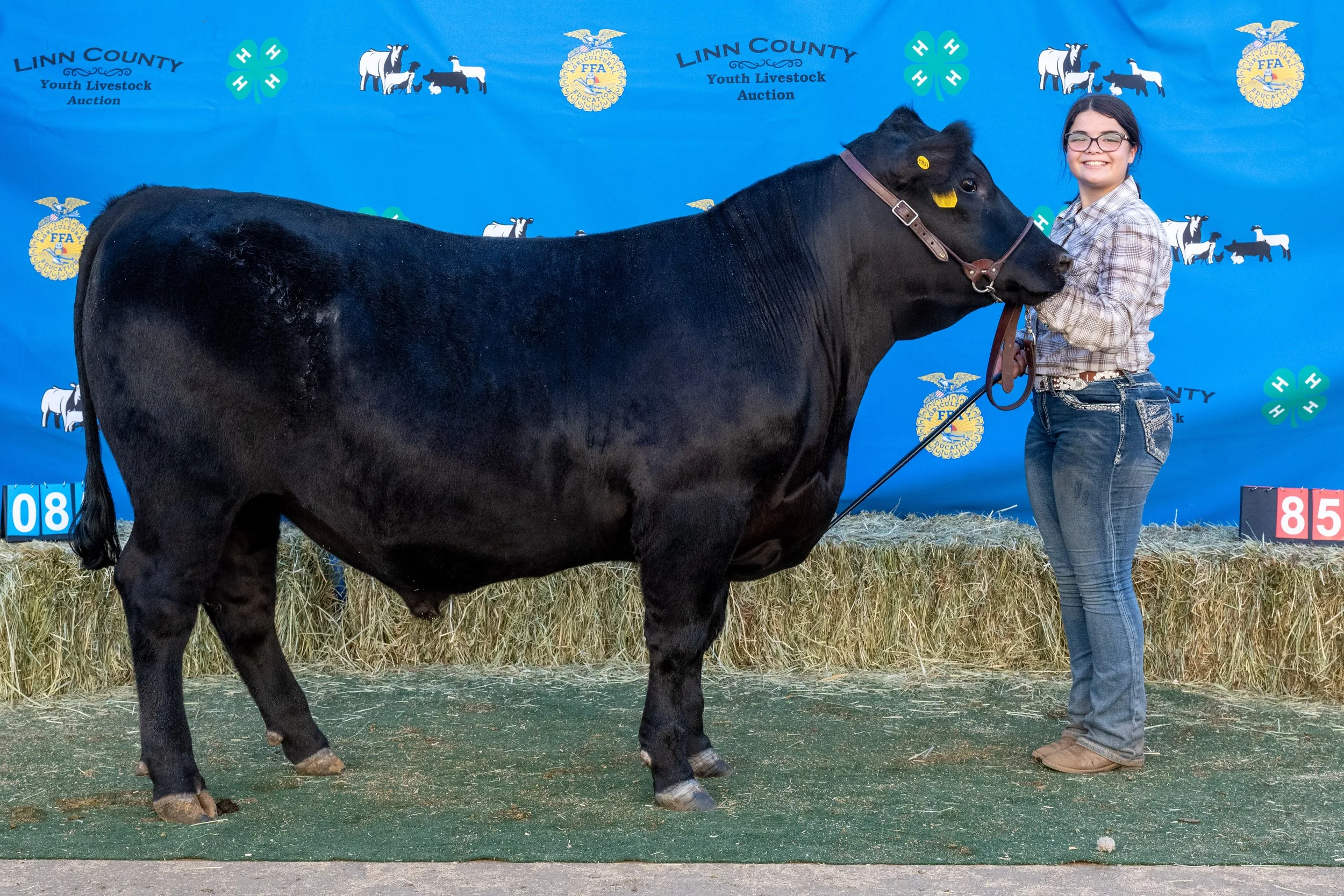 Beef 085 (1 of 1).jpg