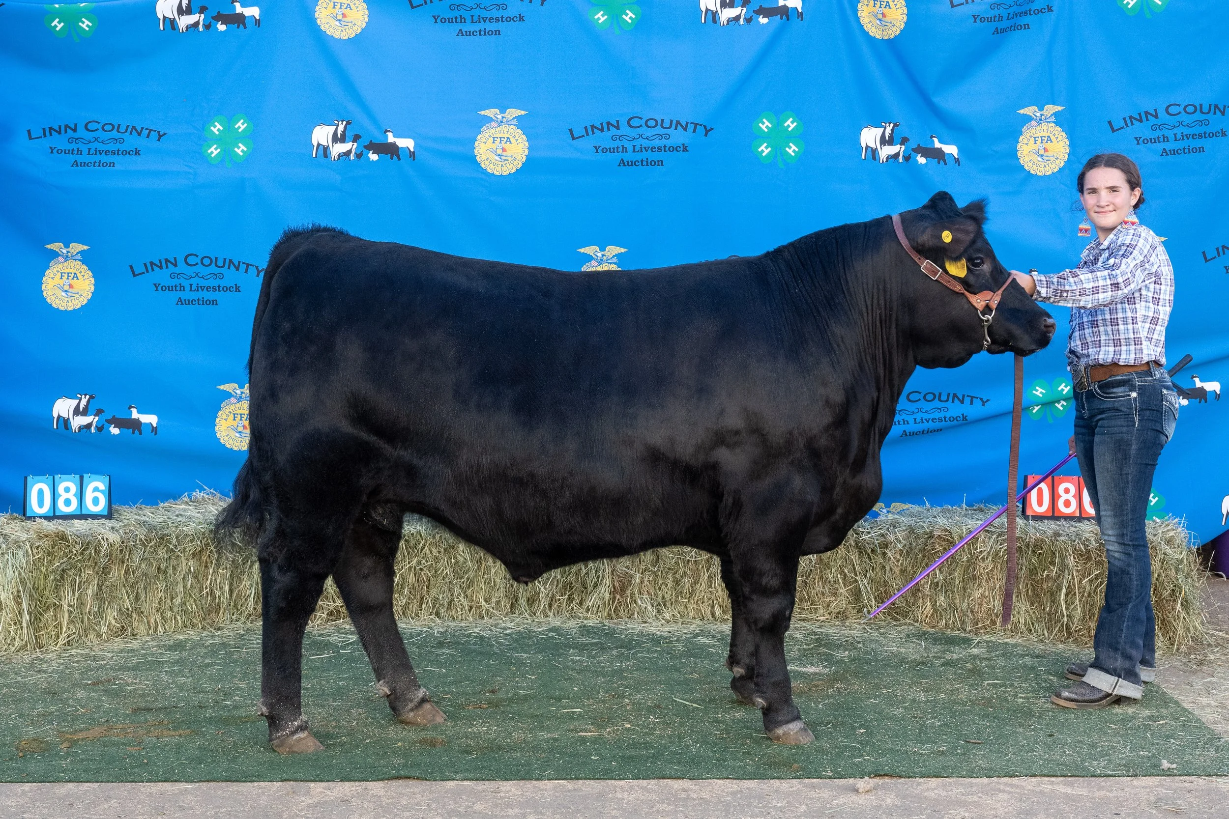 Beef 086 (1 of 1).jpg