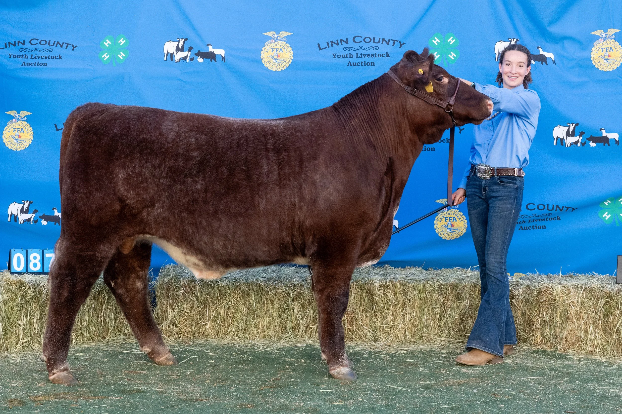 Beef 087 (1 of 1).jpg
