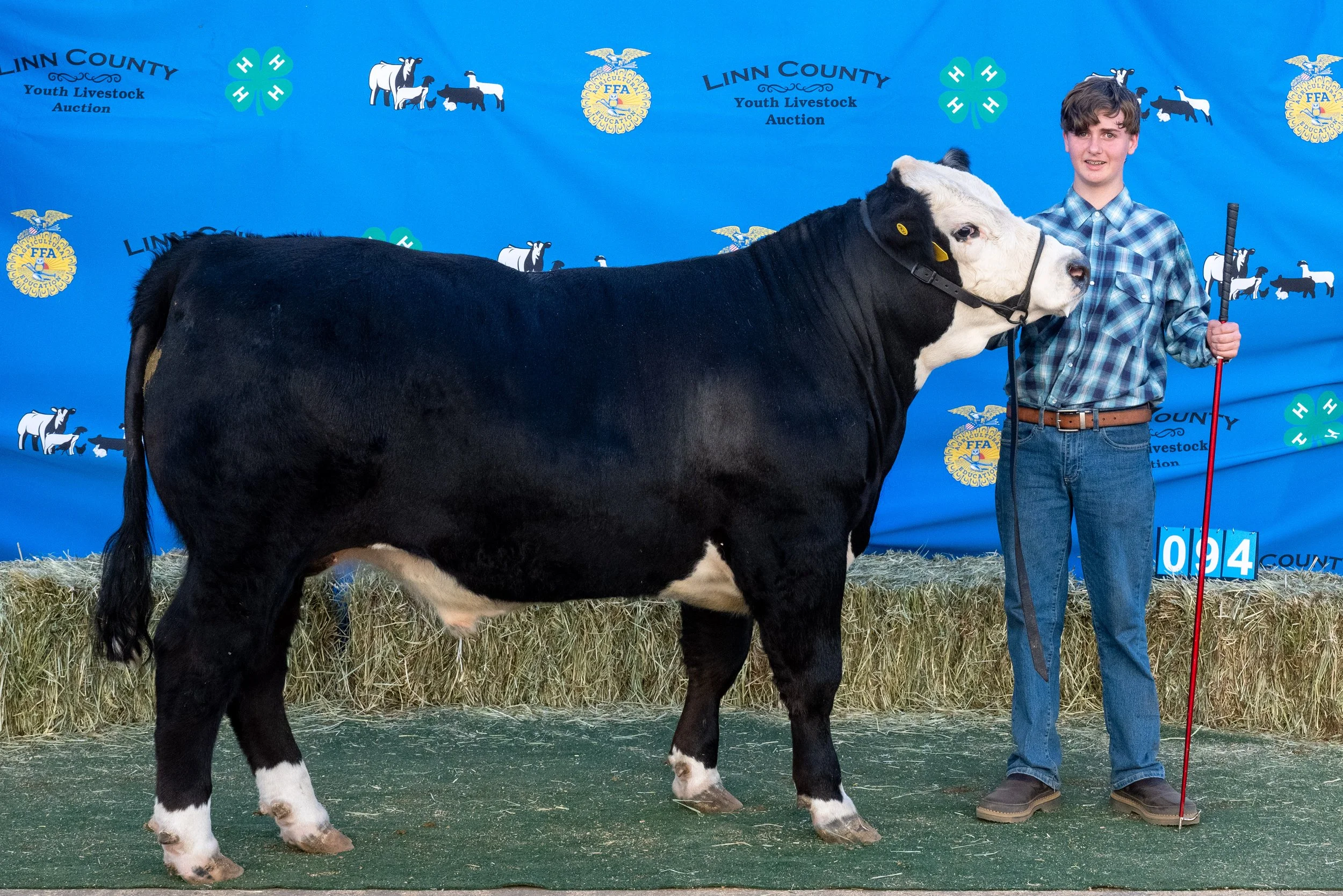 Beef 094 (1 of 1).jpg