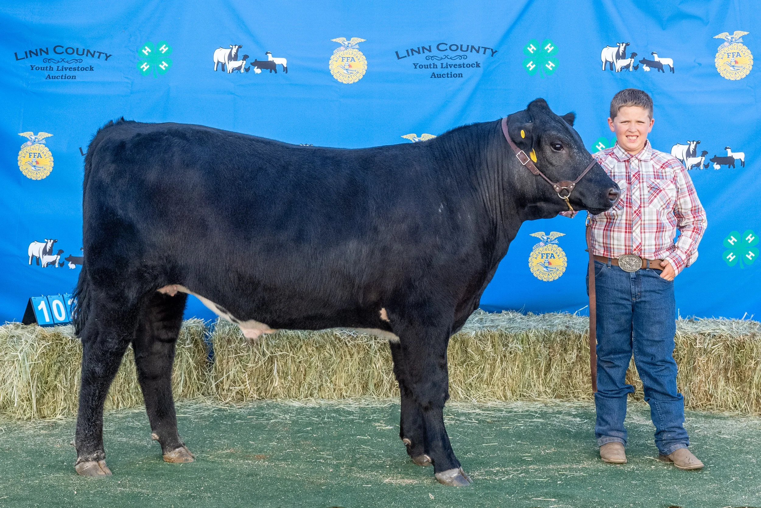 Beef 102 (1 of 1).jpg