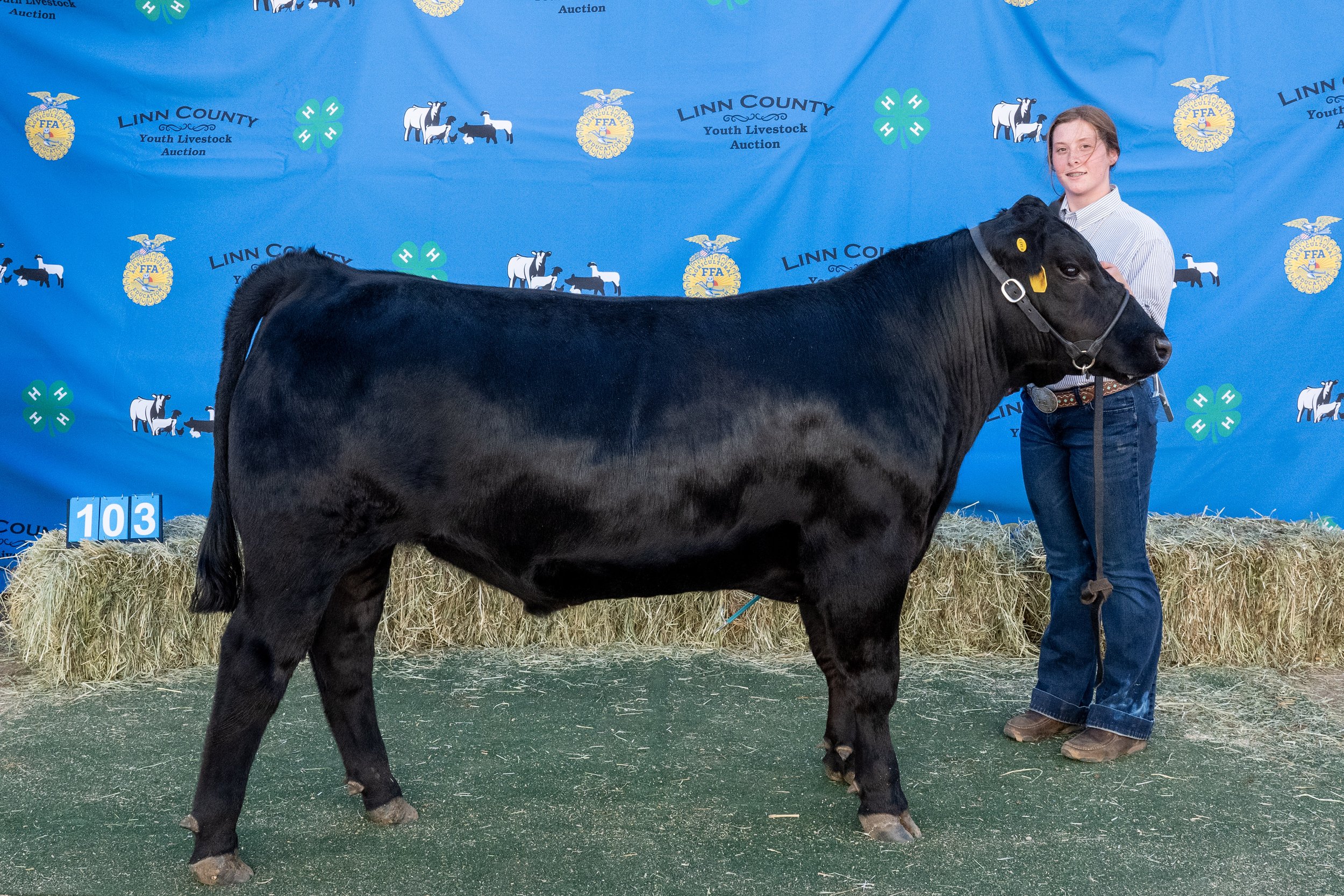 Beef 103 (1 of 1).jpg