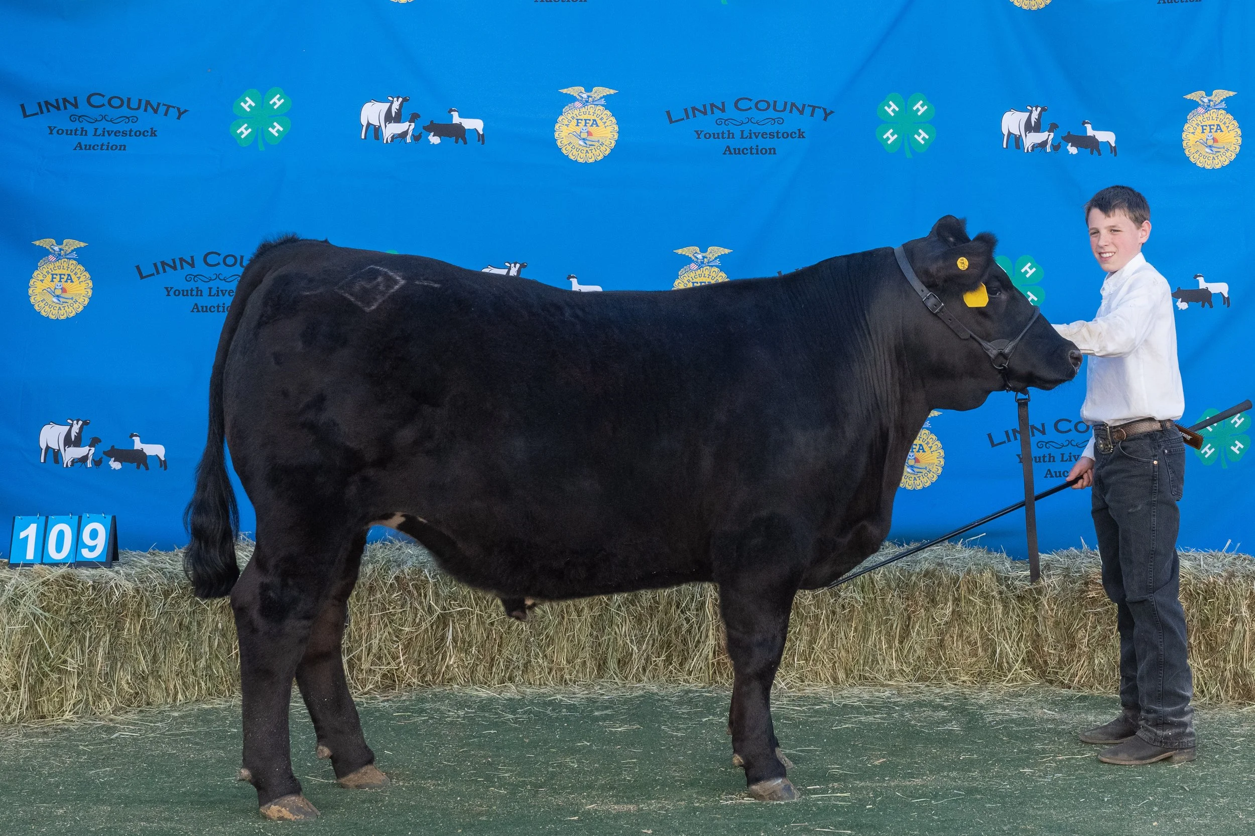 Beef 109 (1 of 1).jpg