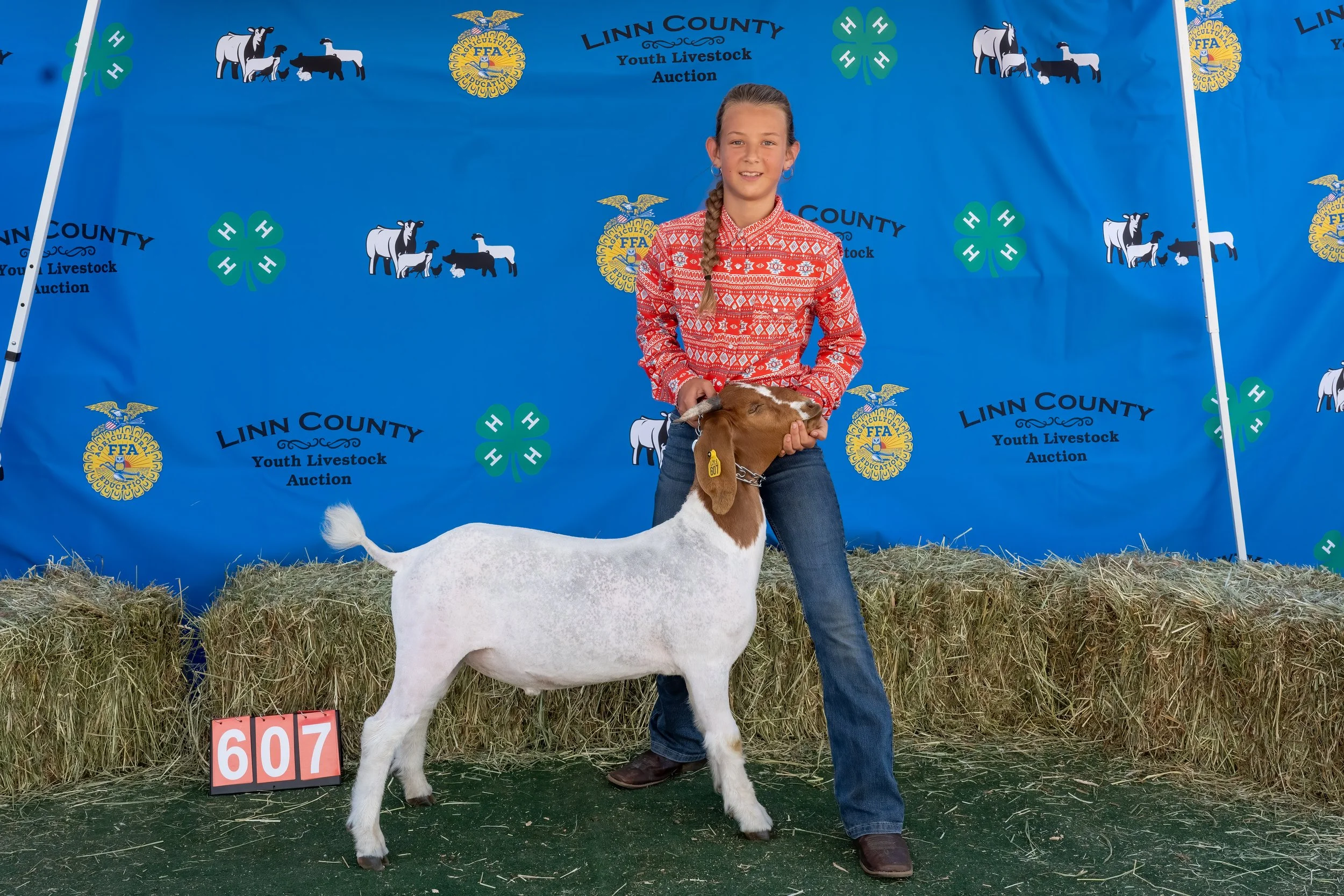 Goat 607 (1 of 1).jpg