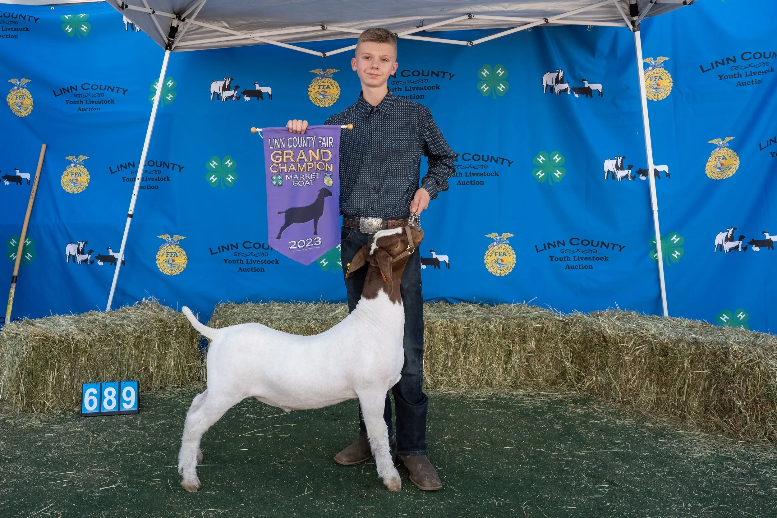 Goat 689 (1 of 1).jpg