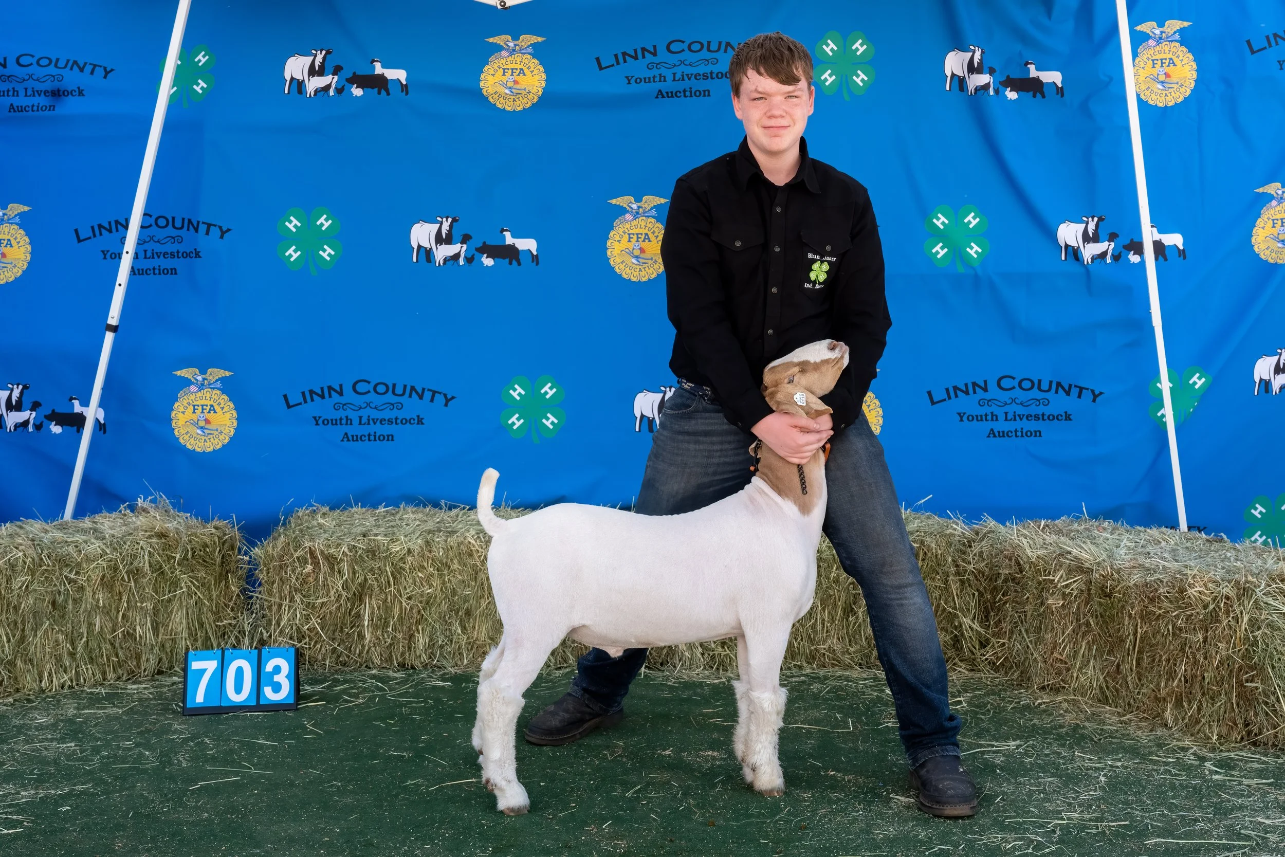 Goat 703 (1 of 1).jpg