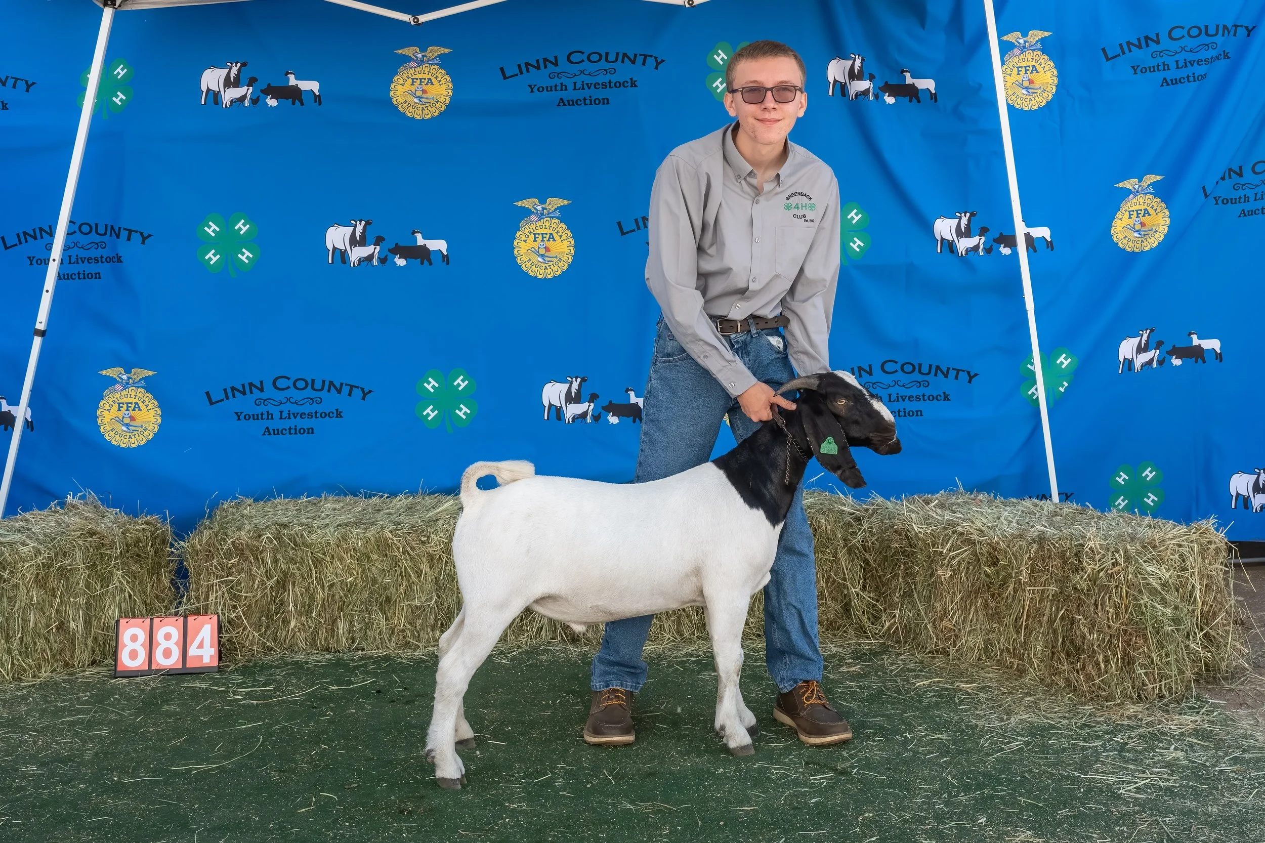 Goat 884 (1 of 1).jpg