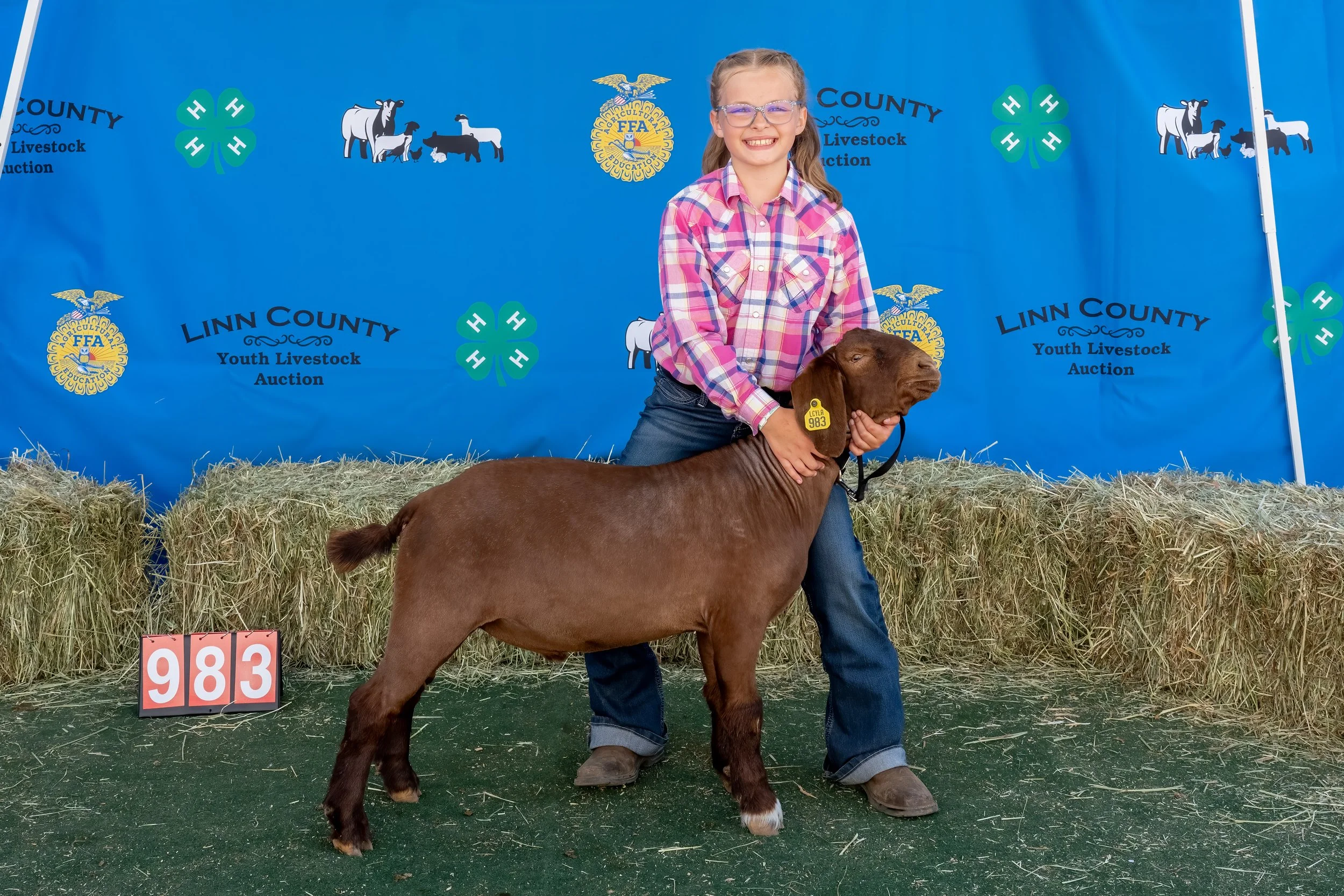 Goat 983 (1 of 1).jpg
