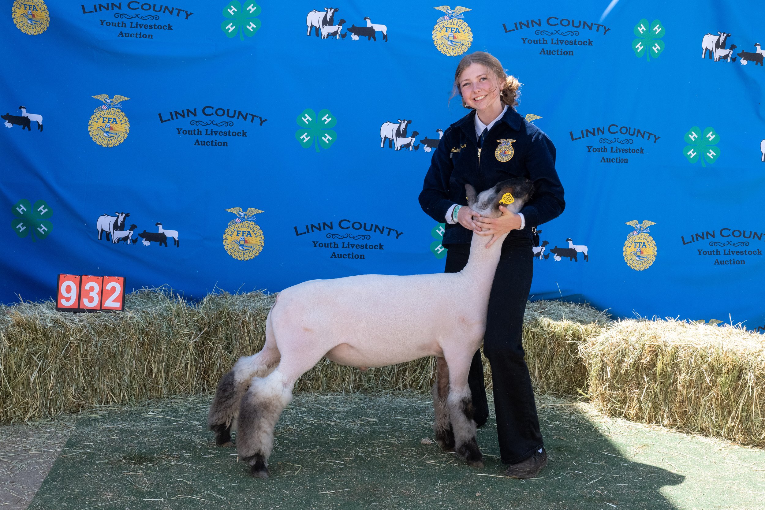 Sheep 932 (1 of 1).jpg