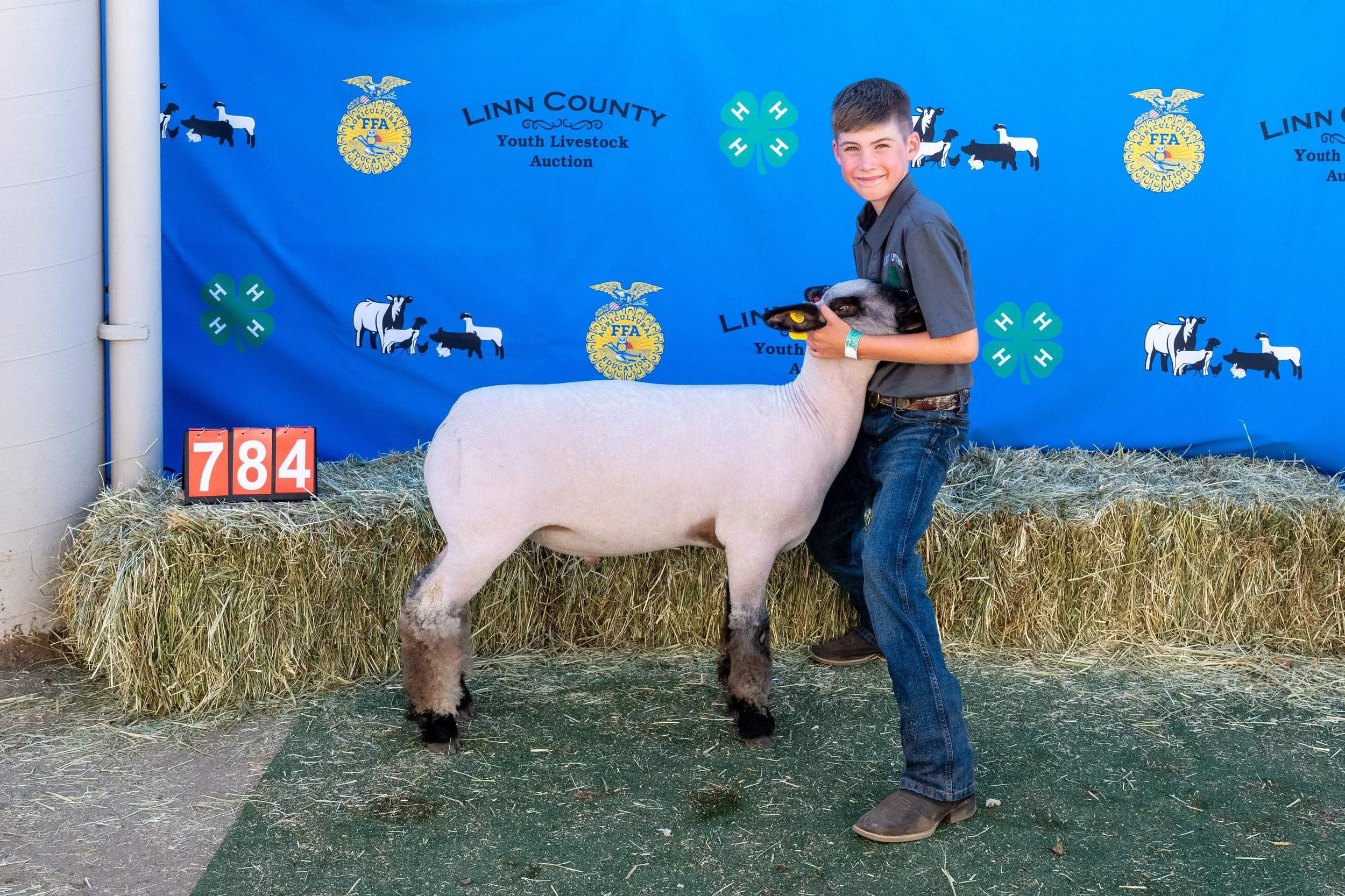 Sheep 784 (1 of 1).jpg