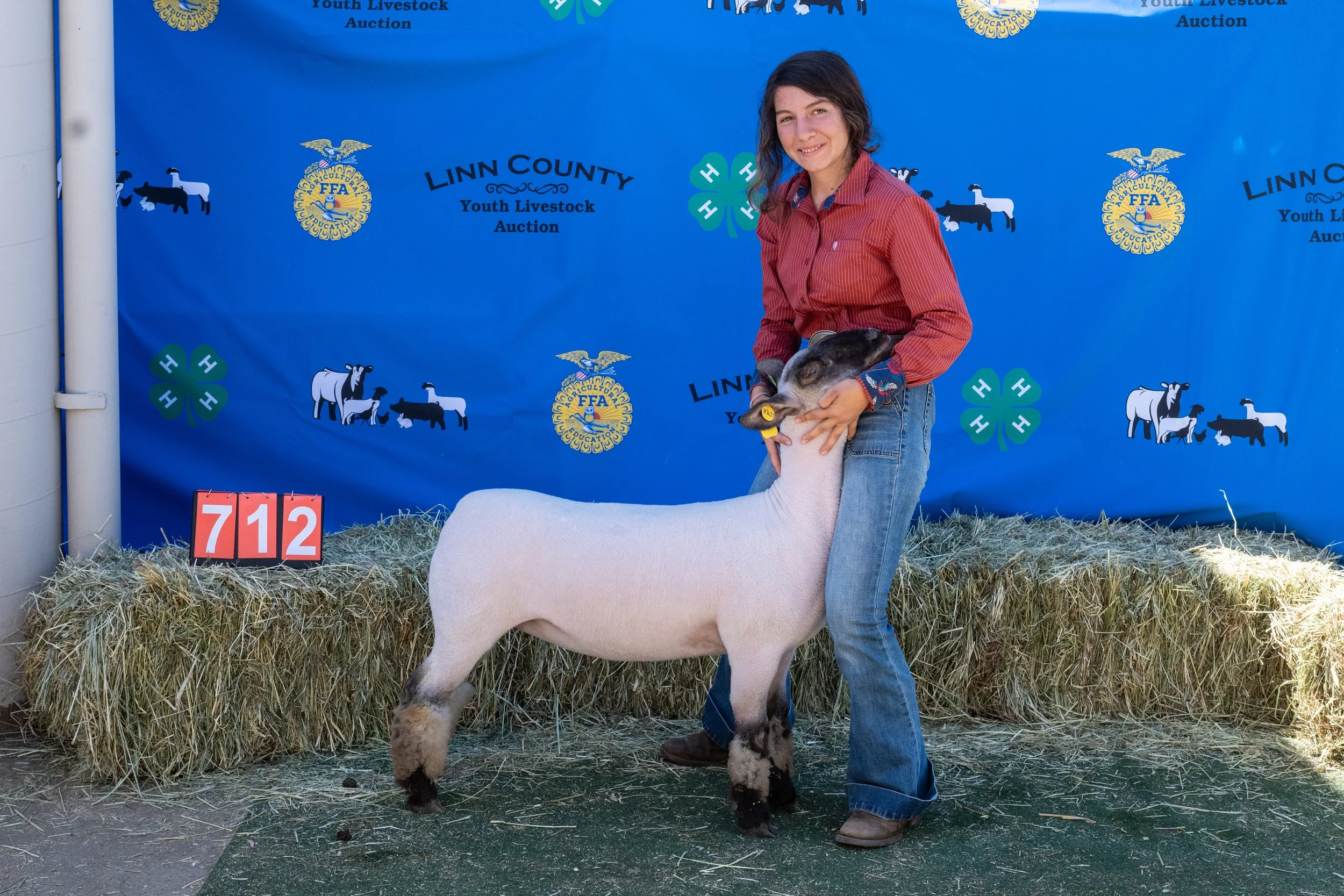 Sheep 712 (1 of 1).jpg