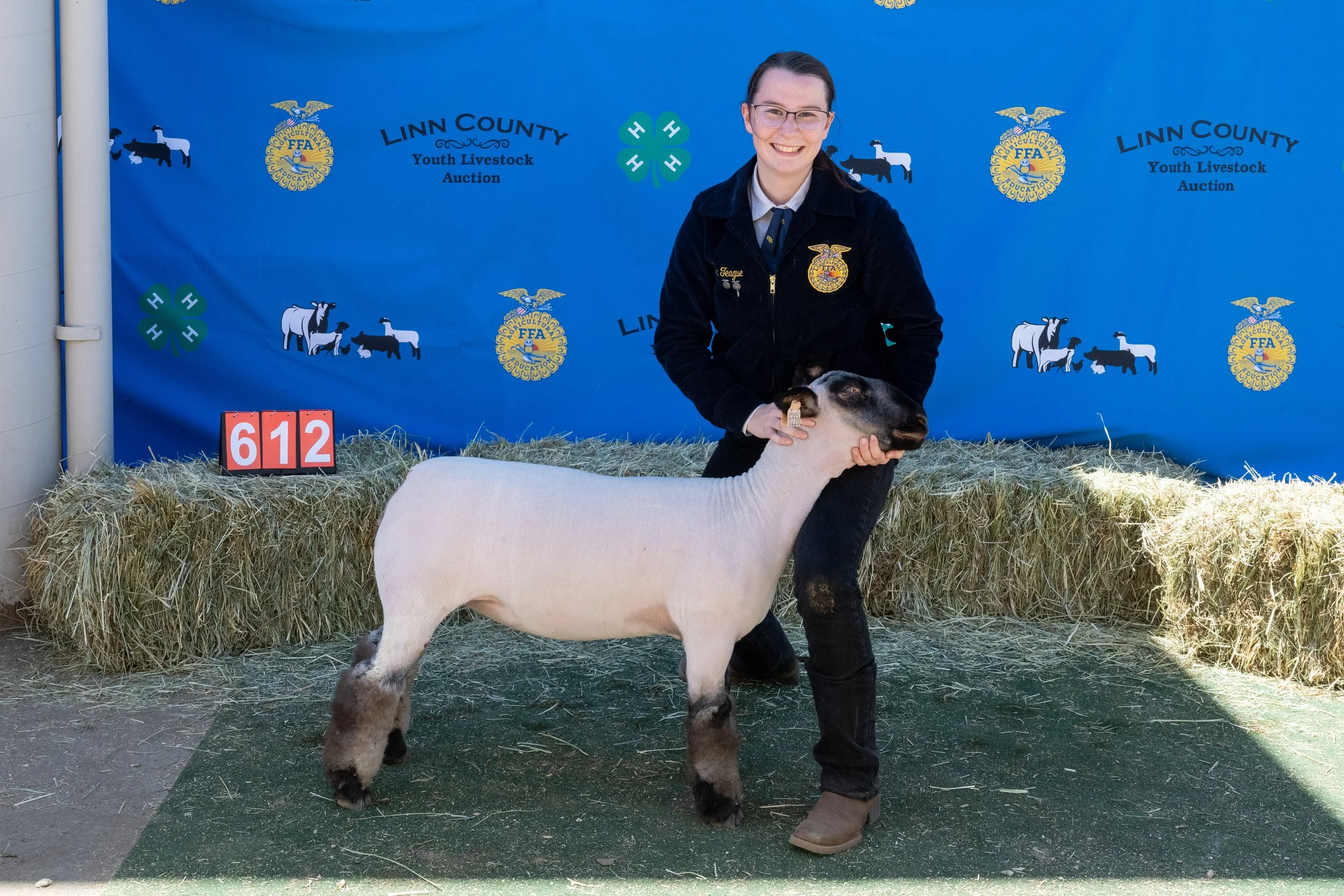 Sheep 612 (1 of 1).jpg