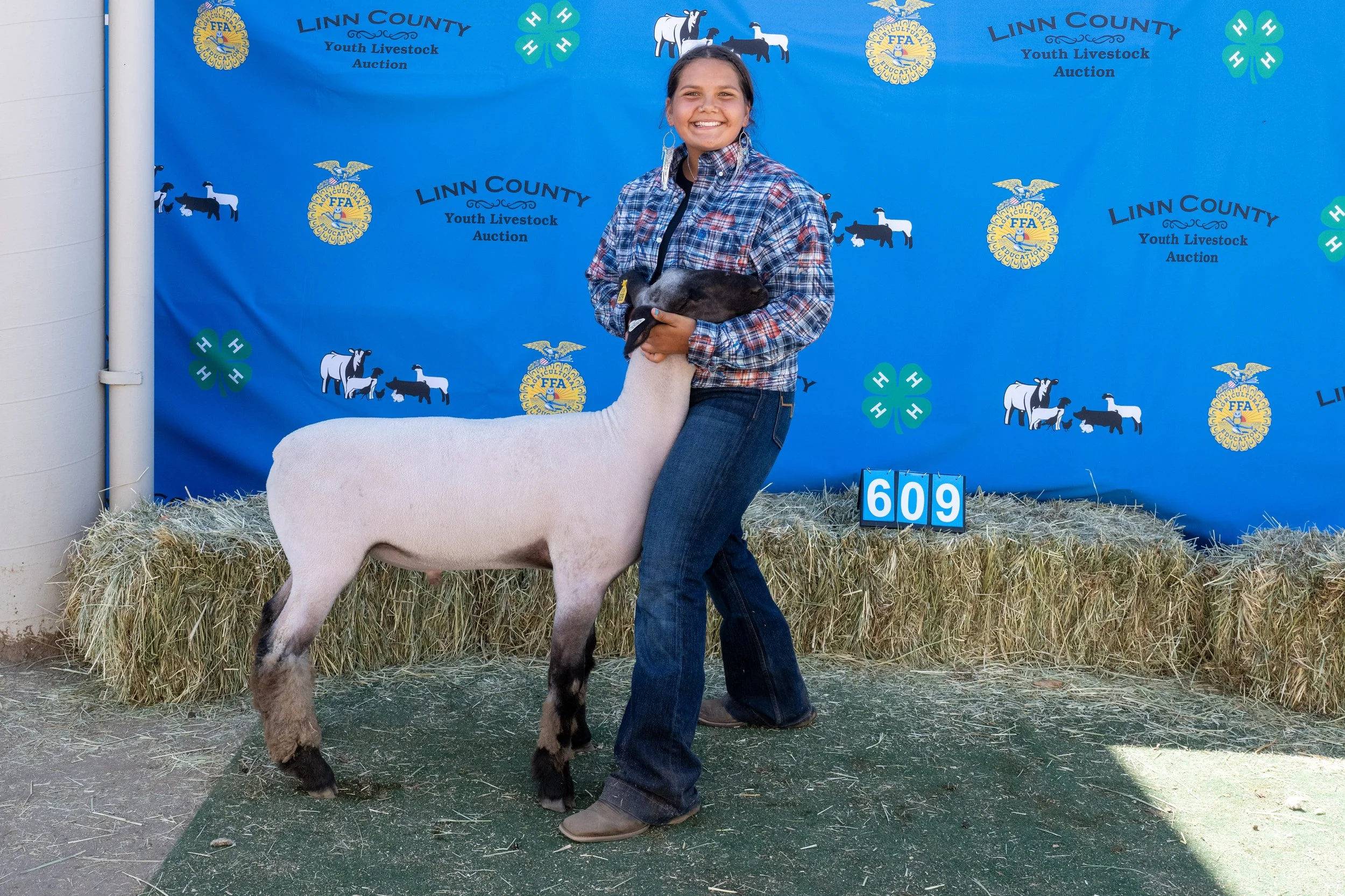 Sheep 609 (1 of 1).jpg