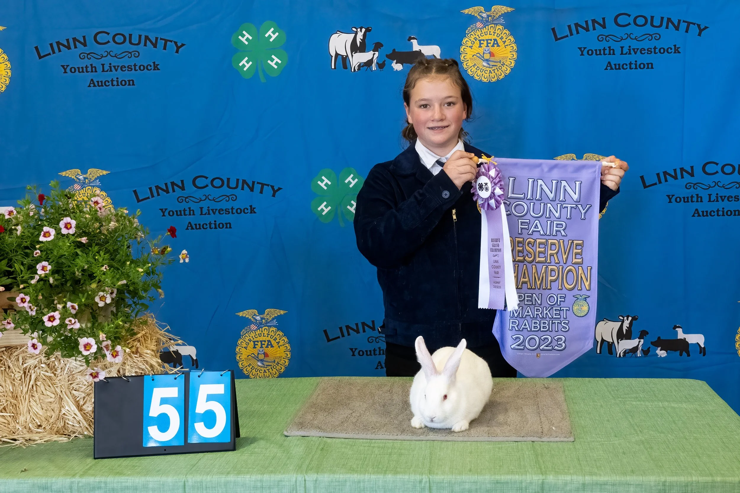 Rabbit 55 (1 of 1).jpg