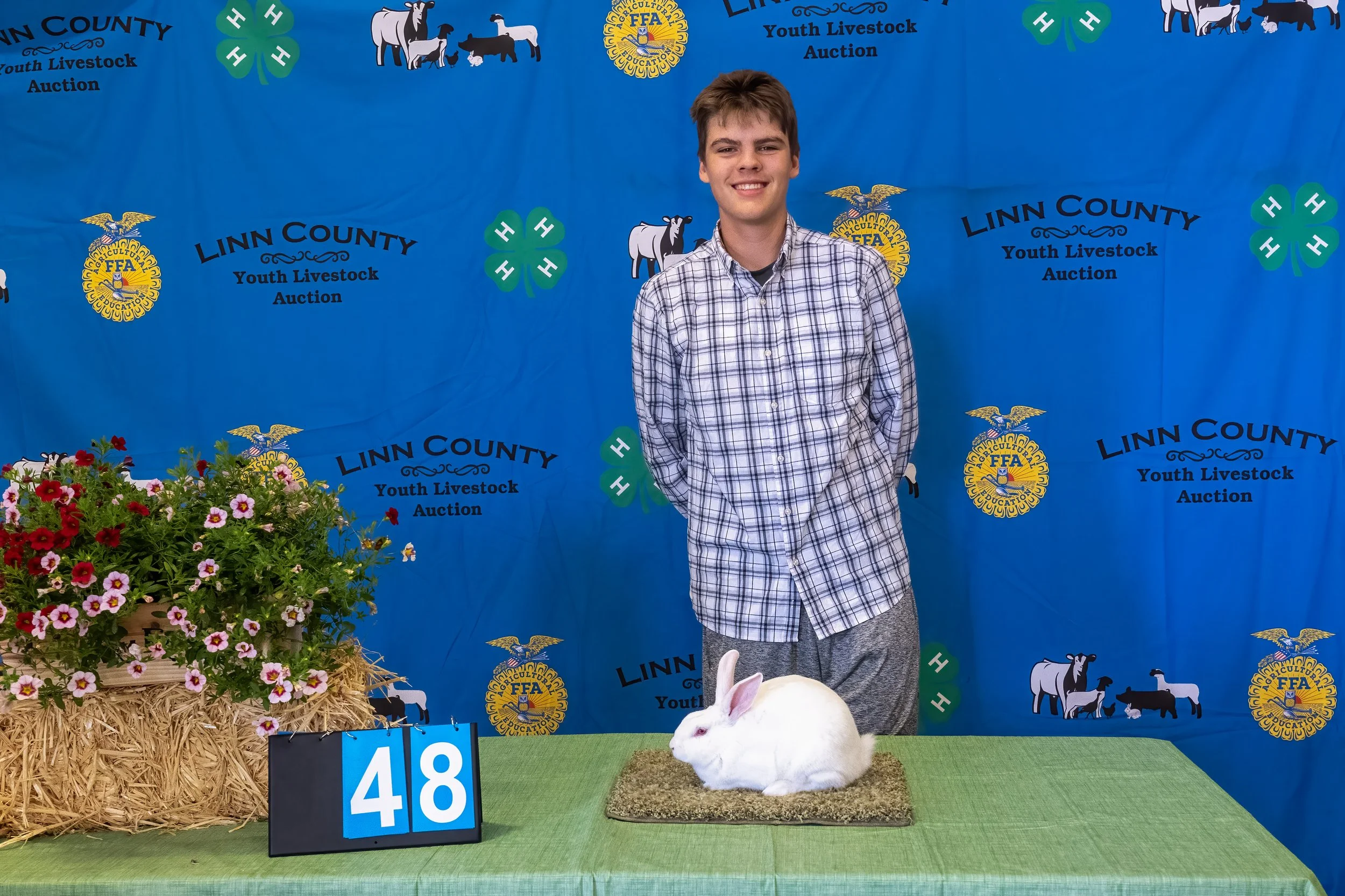 Rabbit 48 (1 of 1).jpg
