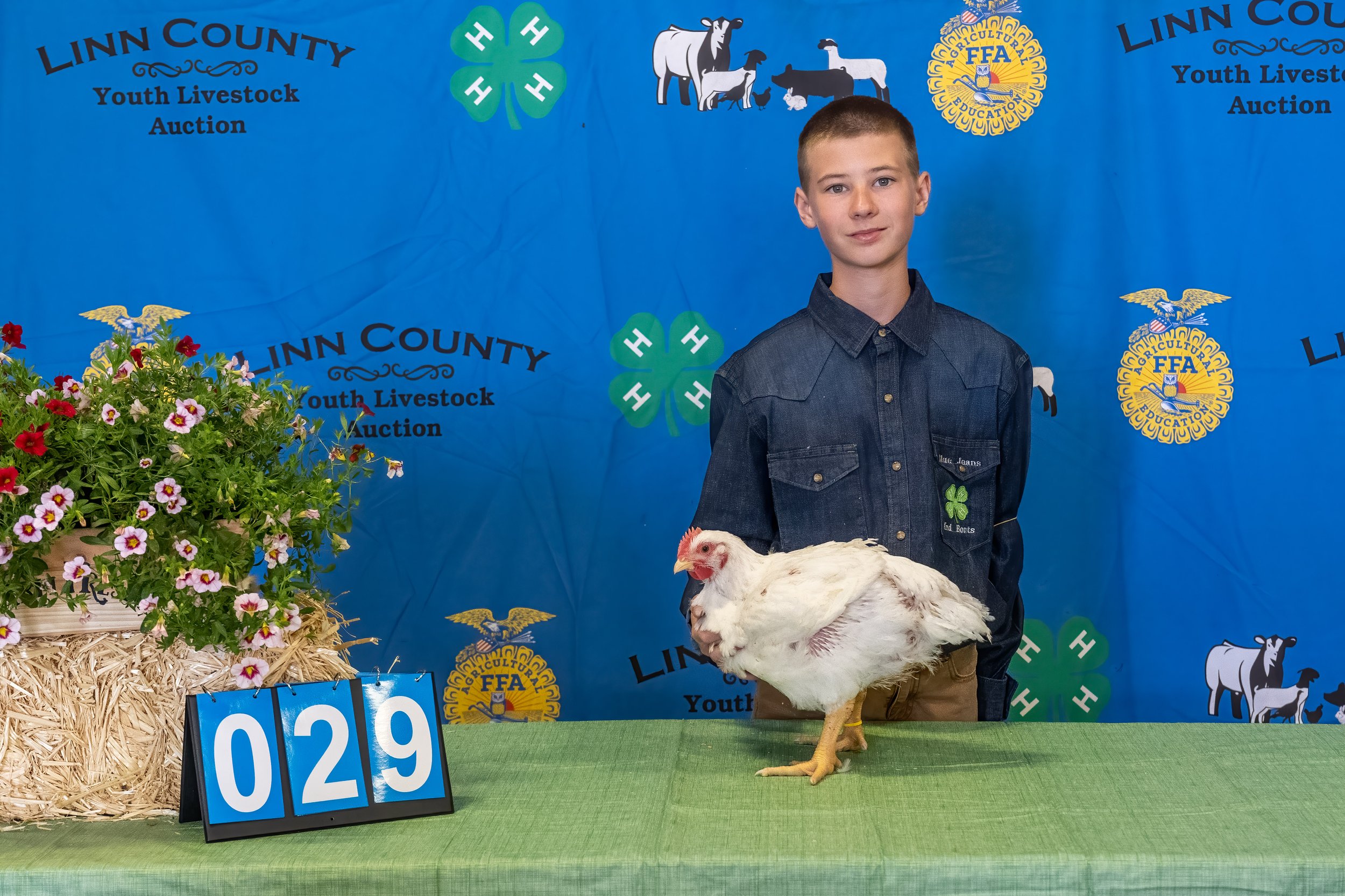 Chicken 029 (1 of 1).jpg