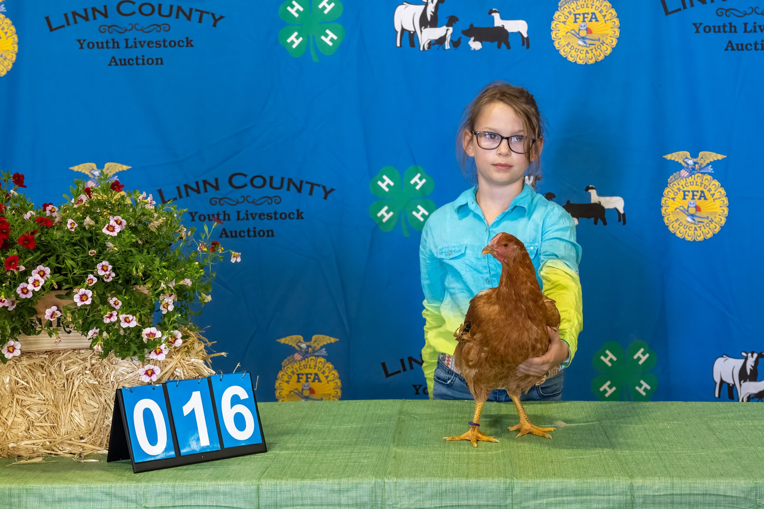 Small Animals — Linn County Youth Livestock Auction