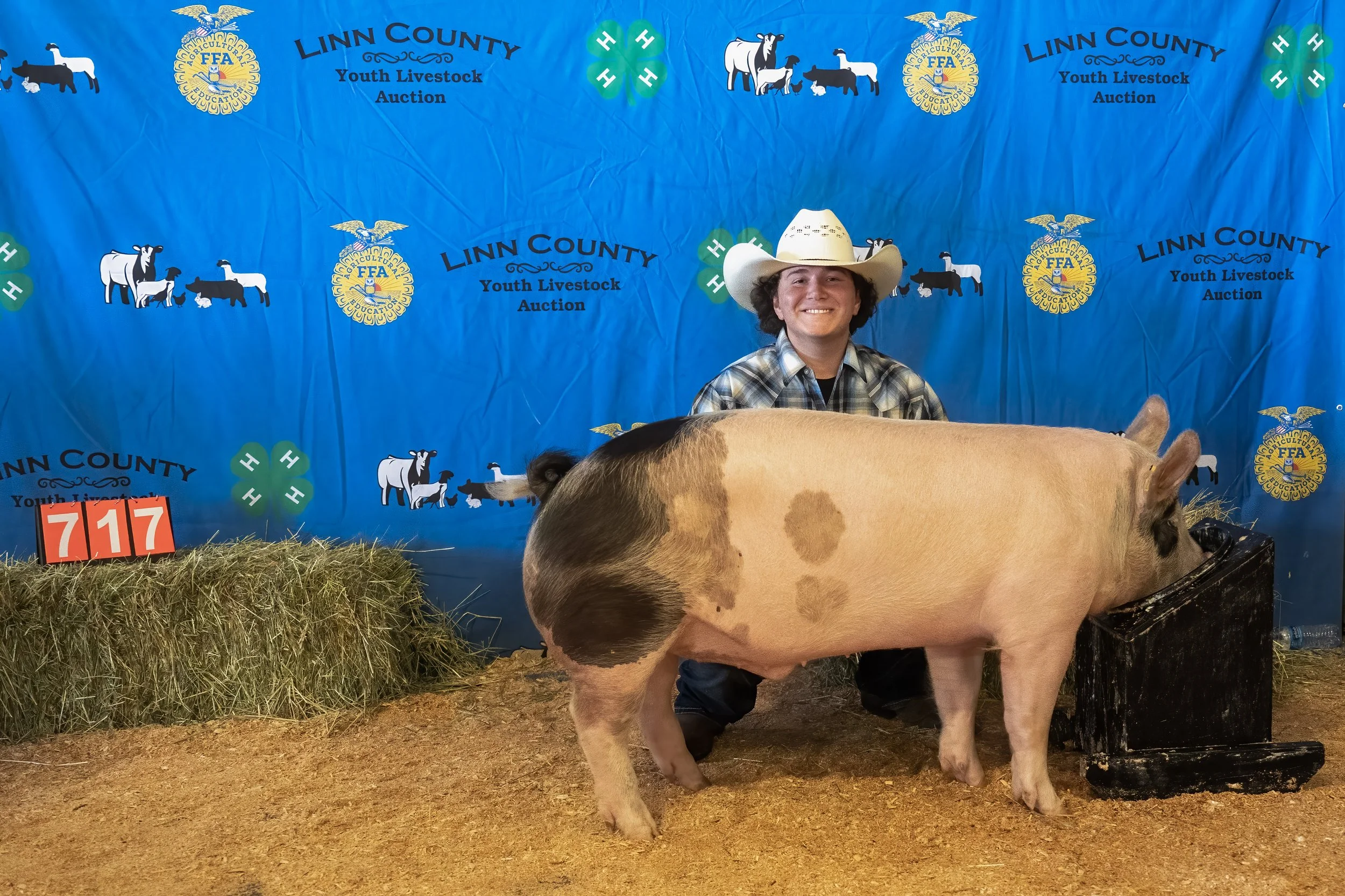 Swine 717 (1 of 1).jpg