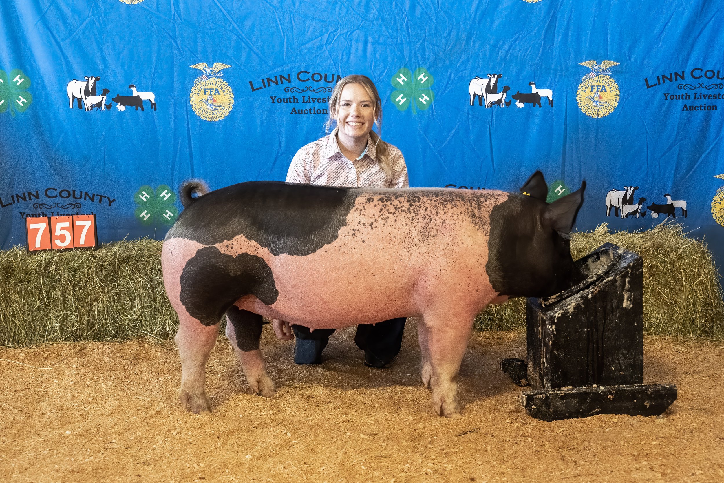 Swine 757 (1 of 1).jpg