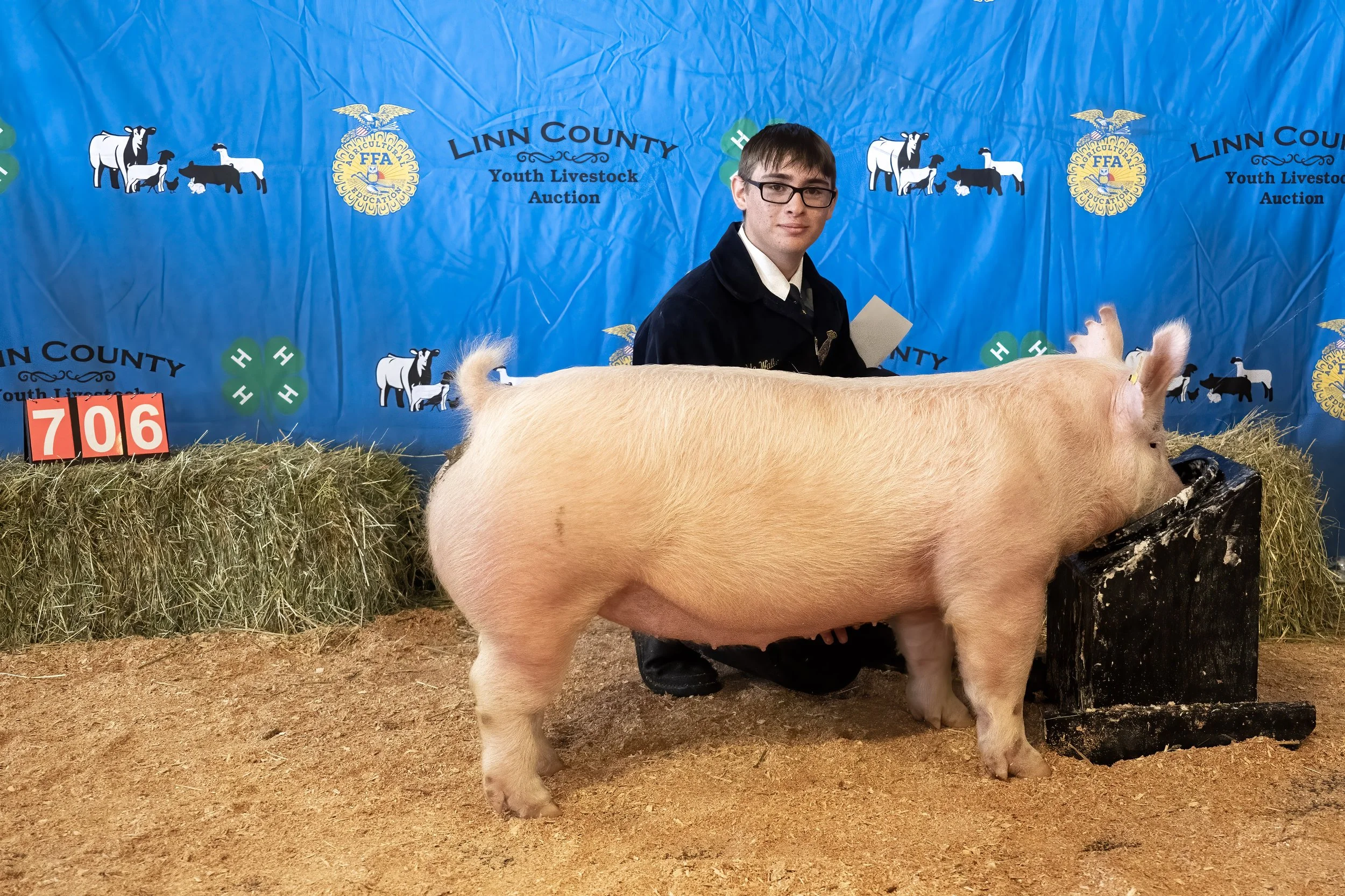 Swine 706 (1 of 1).jpg