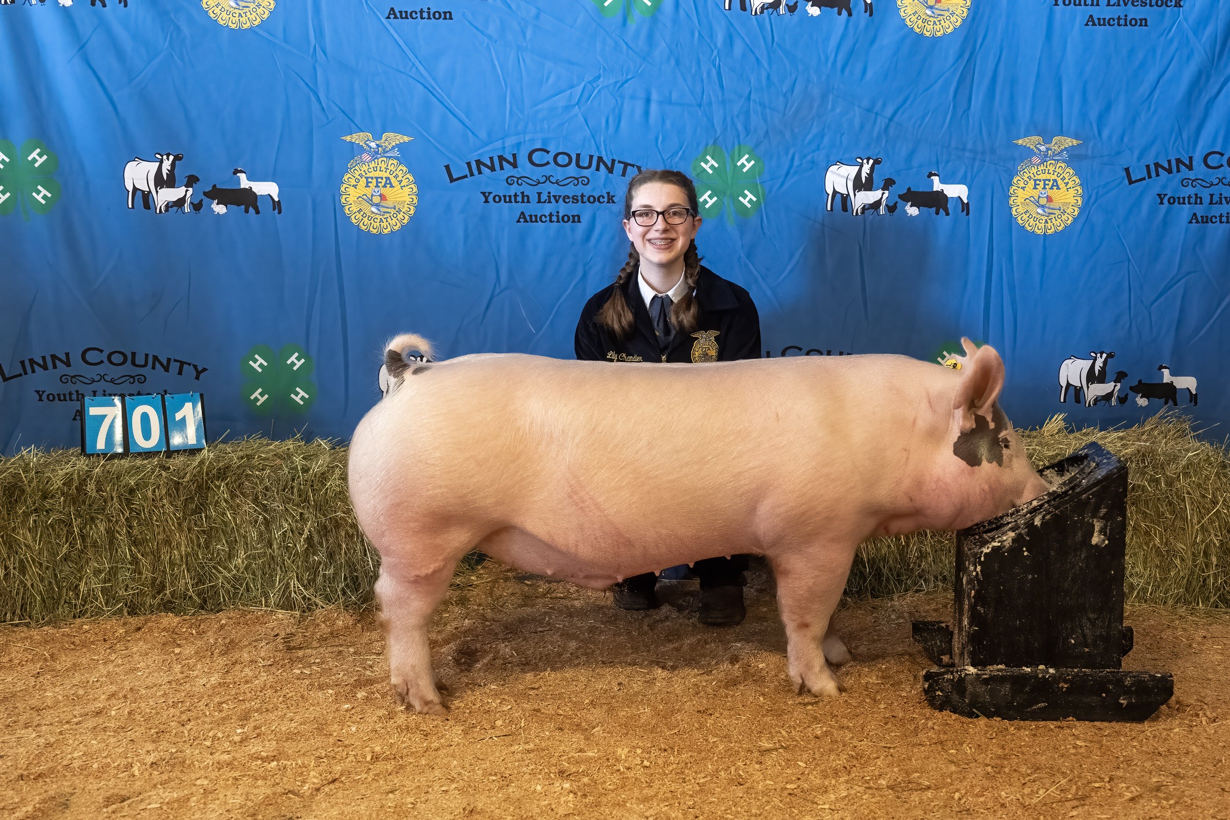 Swine 701 (1 of 1).jpg