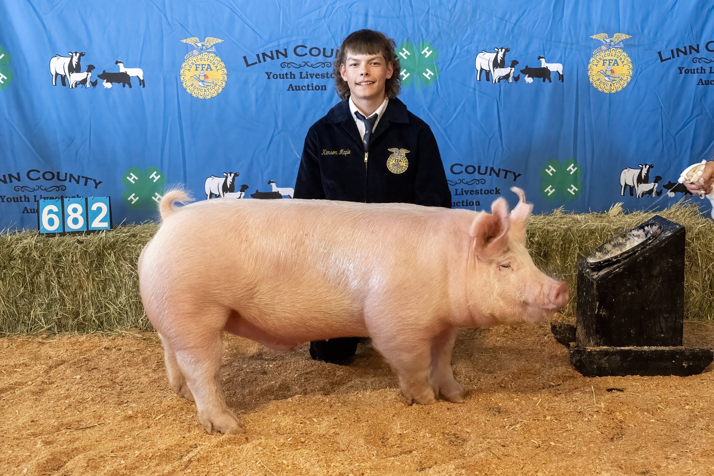 Swine 682 (1 of 1).jpg
