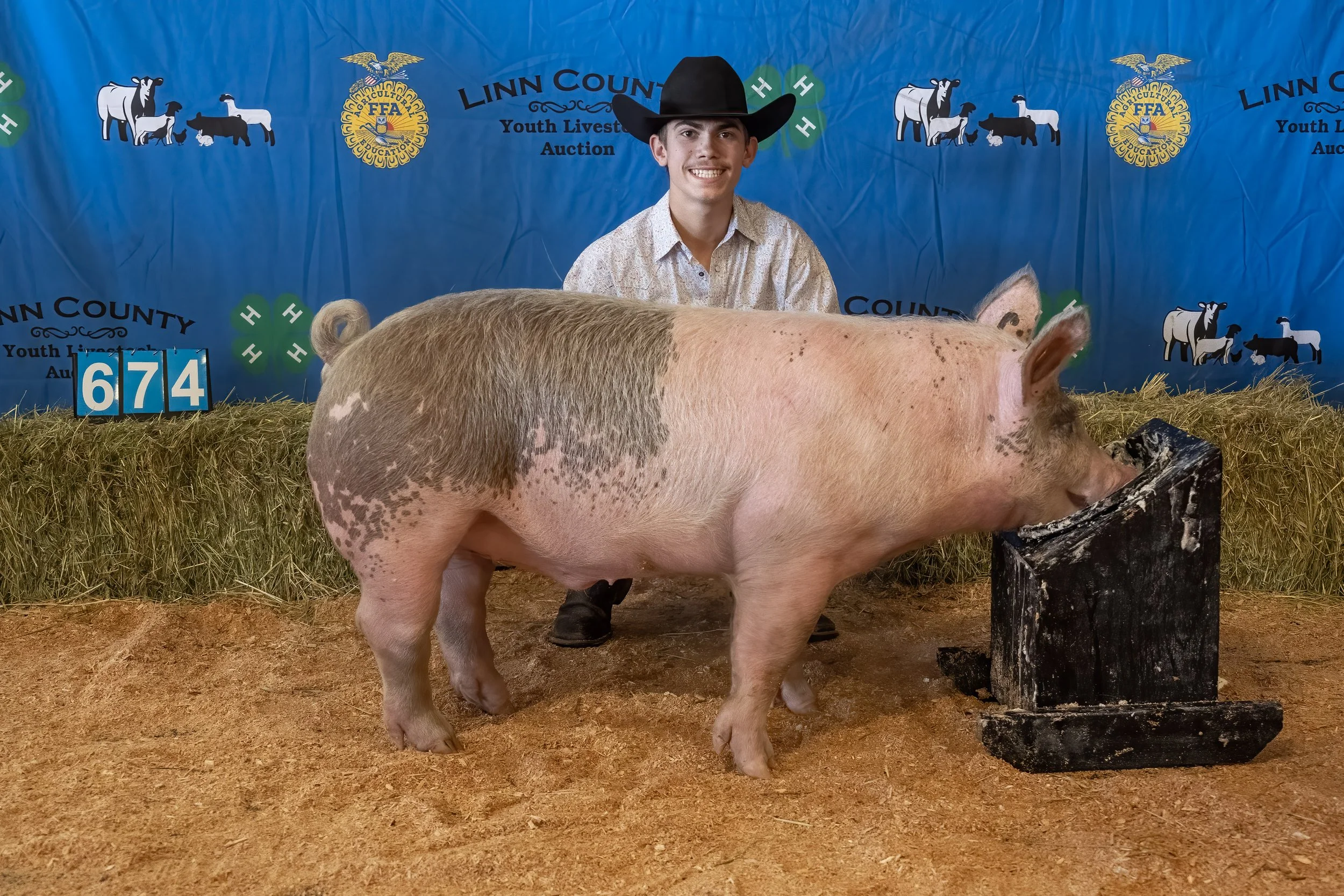 Swine 674 (1 of 1).jpg