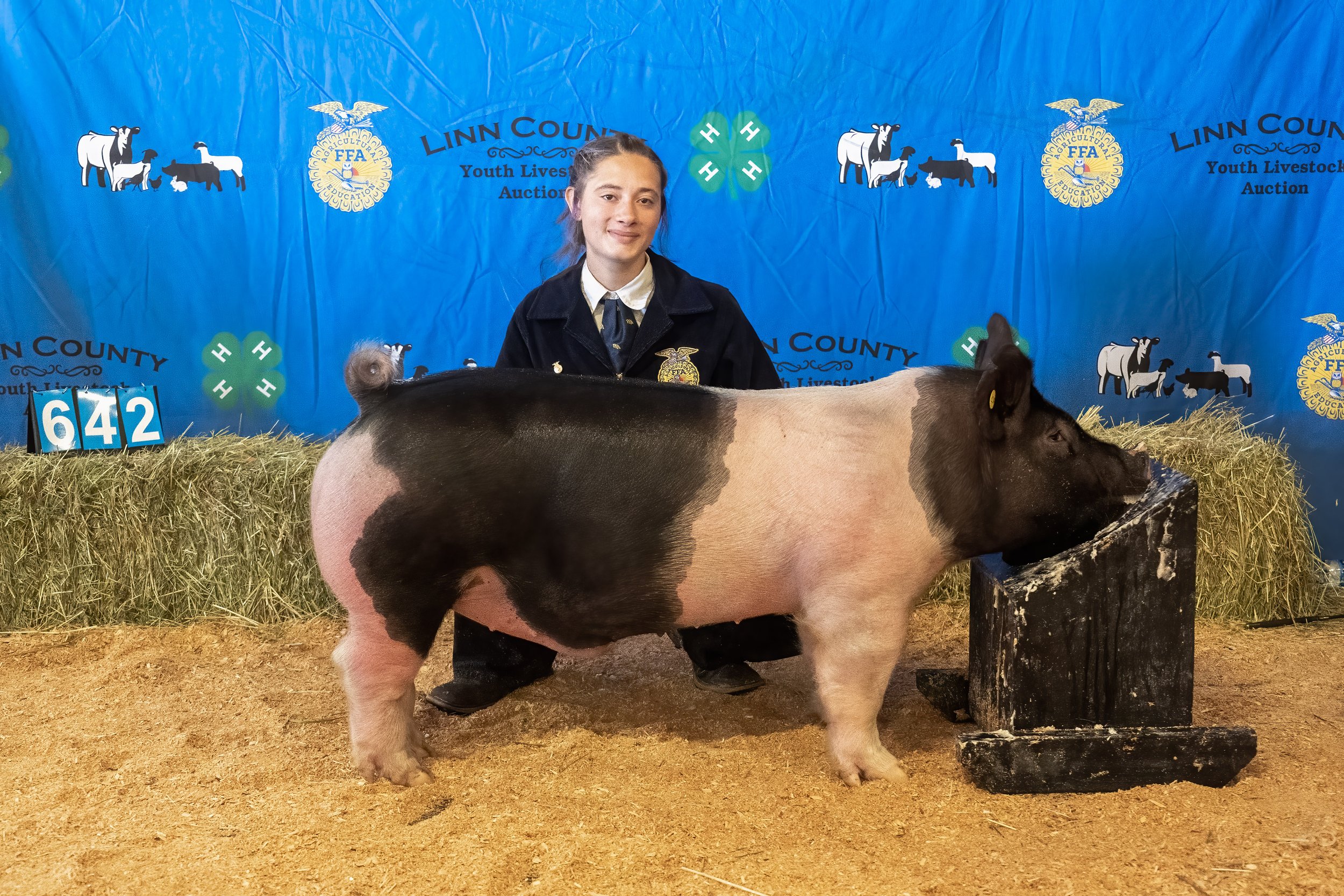 Swine 642 (1 of 1).jpg