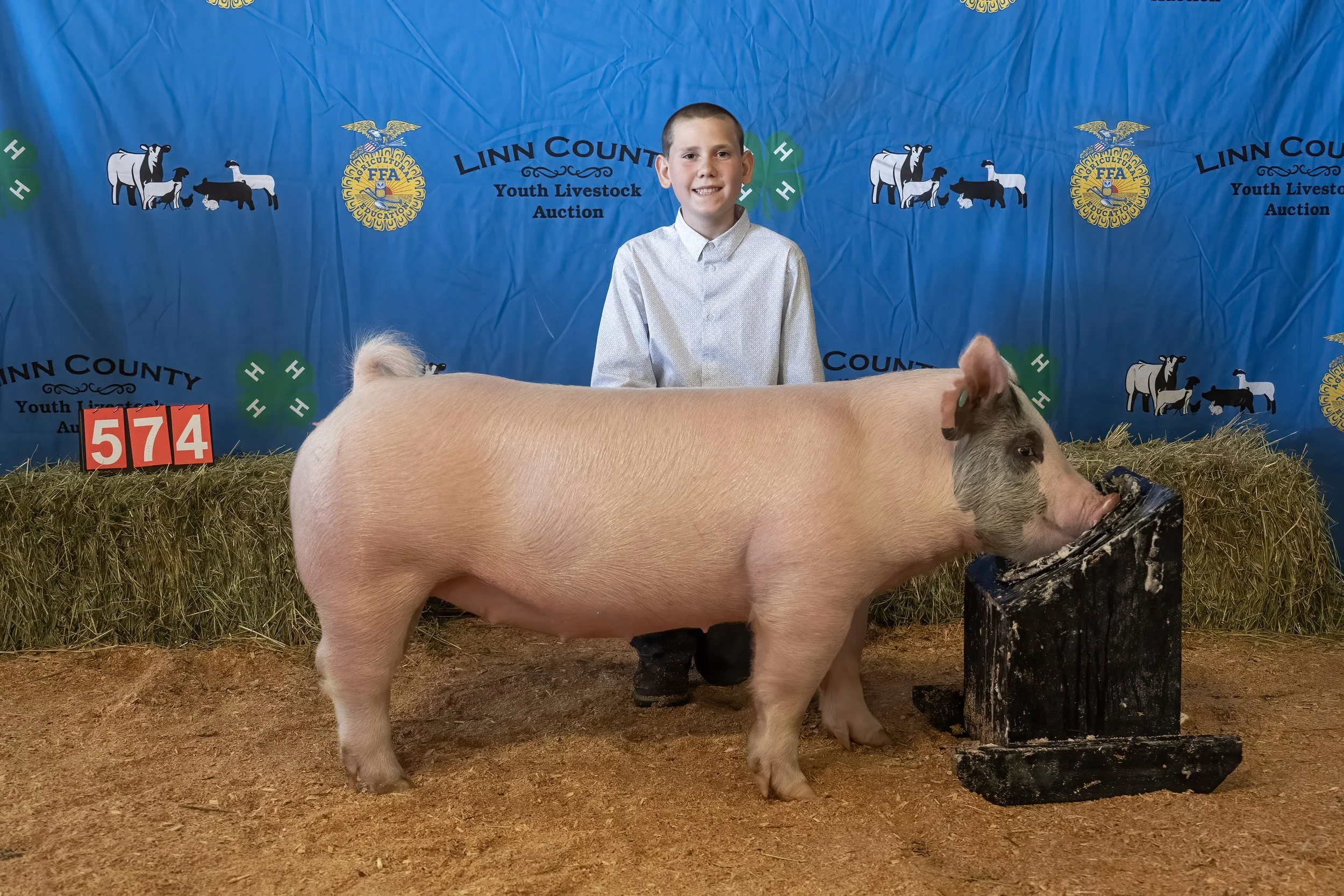 Swine 574 (1 of 1).jpg