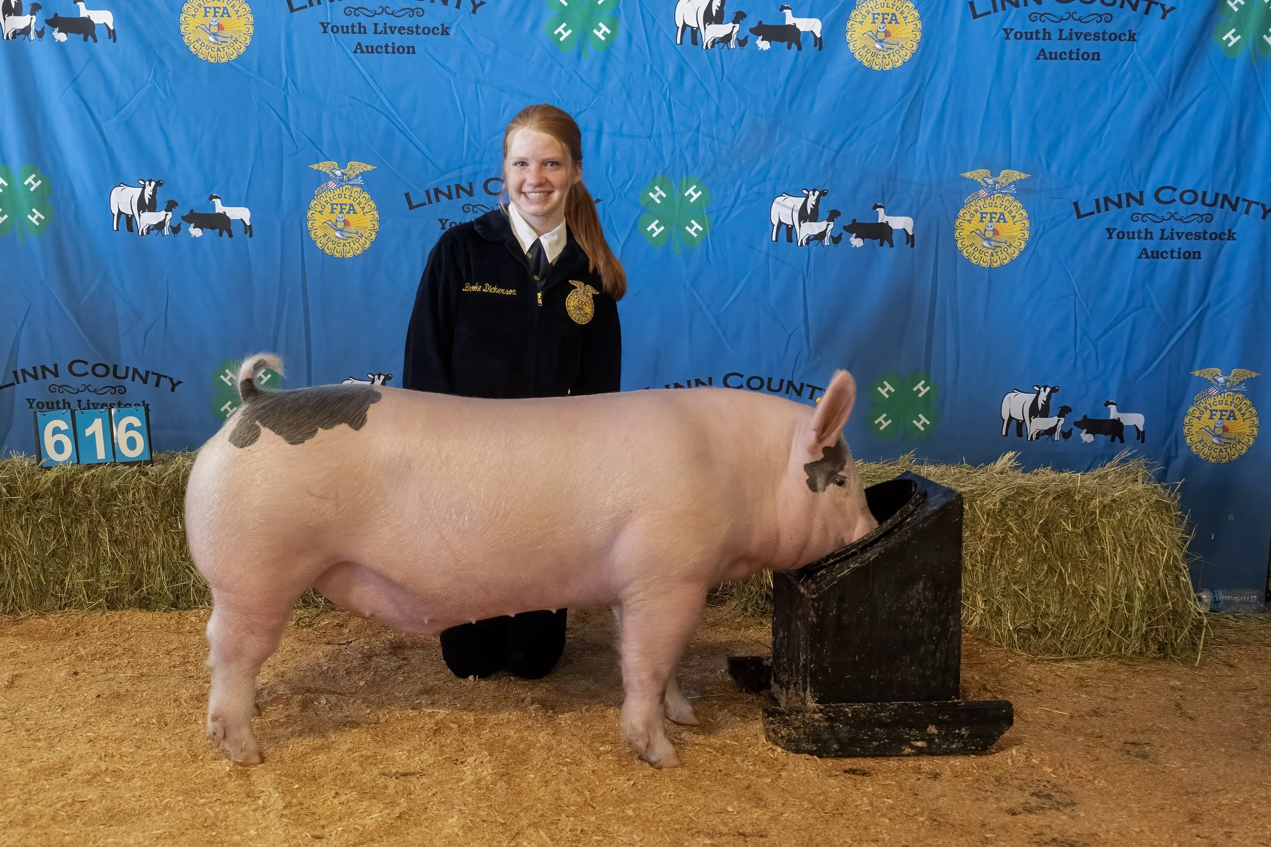 Swine 616 (1 of 1).jpg
