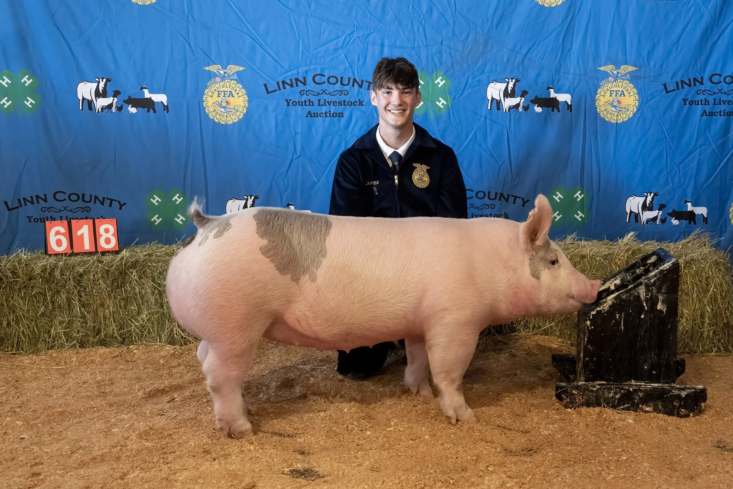 Swine 618 (1 of 1).jpg