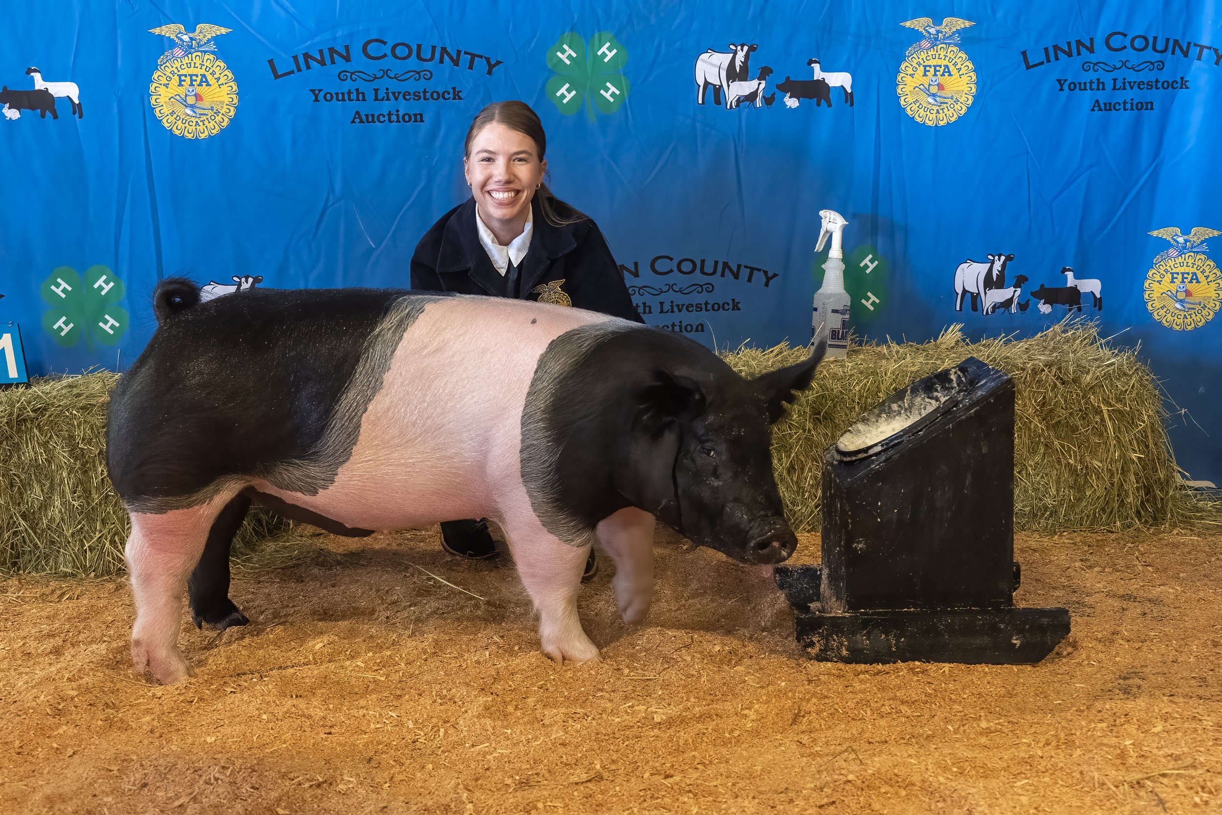 Swine 641 (1 of 1).jpg