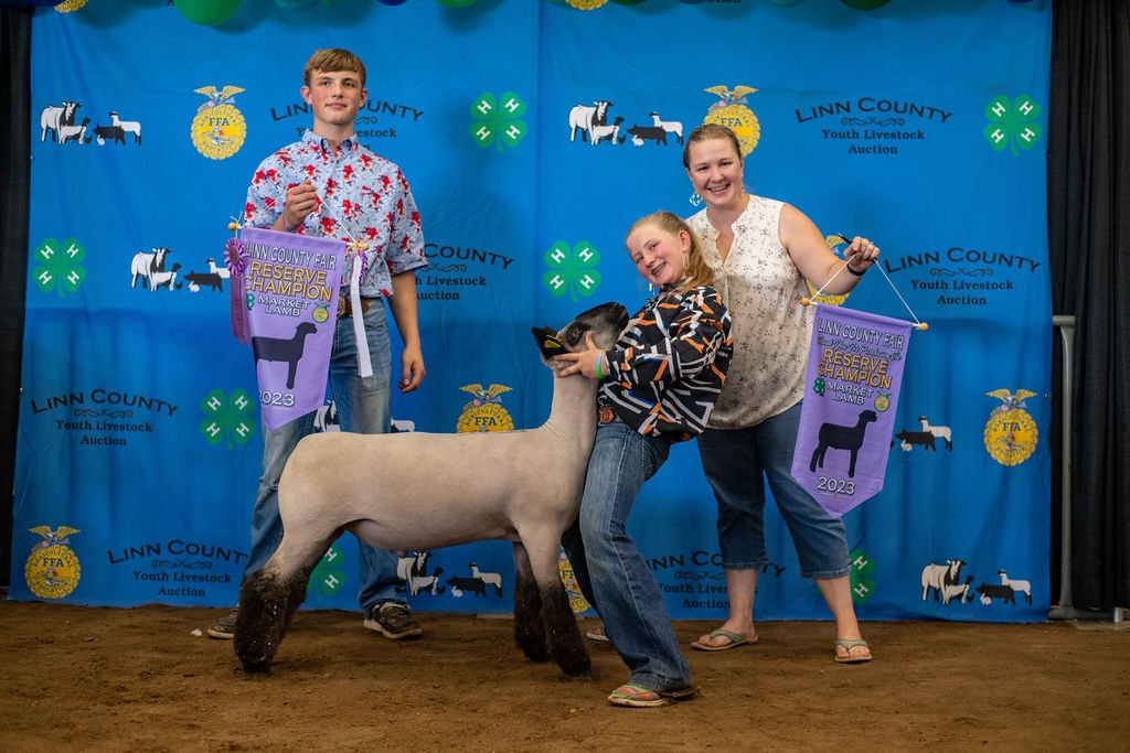  AnnMarie Kizer, Reserve Grand Champion Lamb, purchased by Pimm Farms 