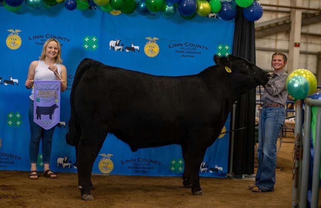  Macie Thies, Reserve Grand Champion Steer, purchased by Farmland Tractor 