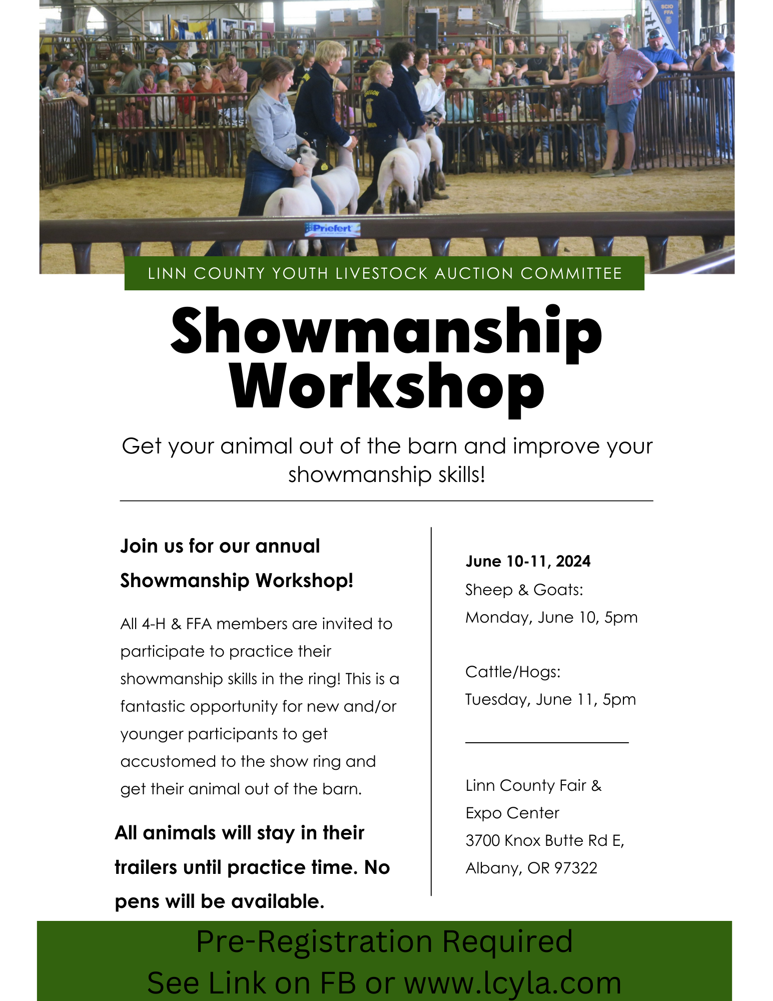 Showmanship Workshop.png