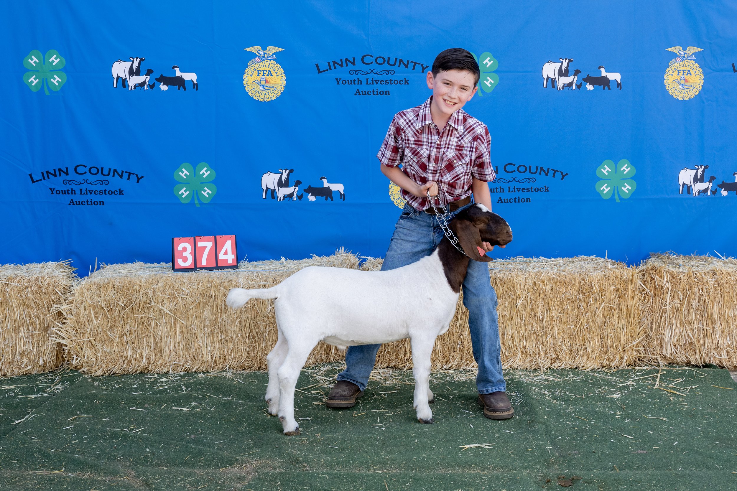 Goat374 (1 of 1).JPG