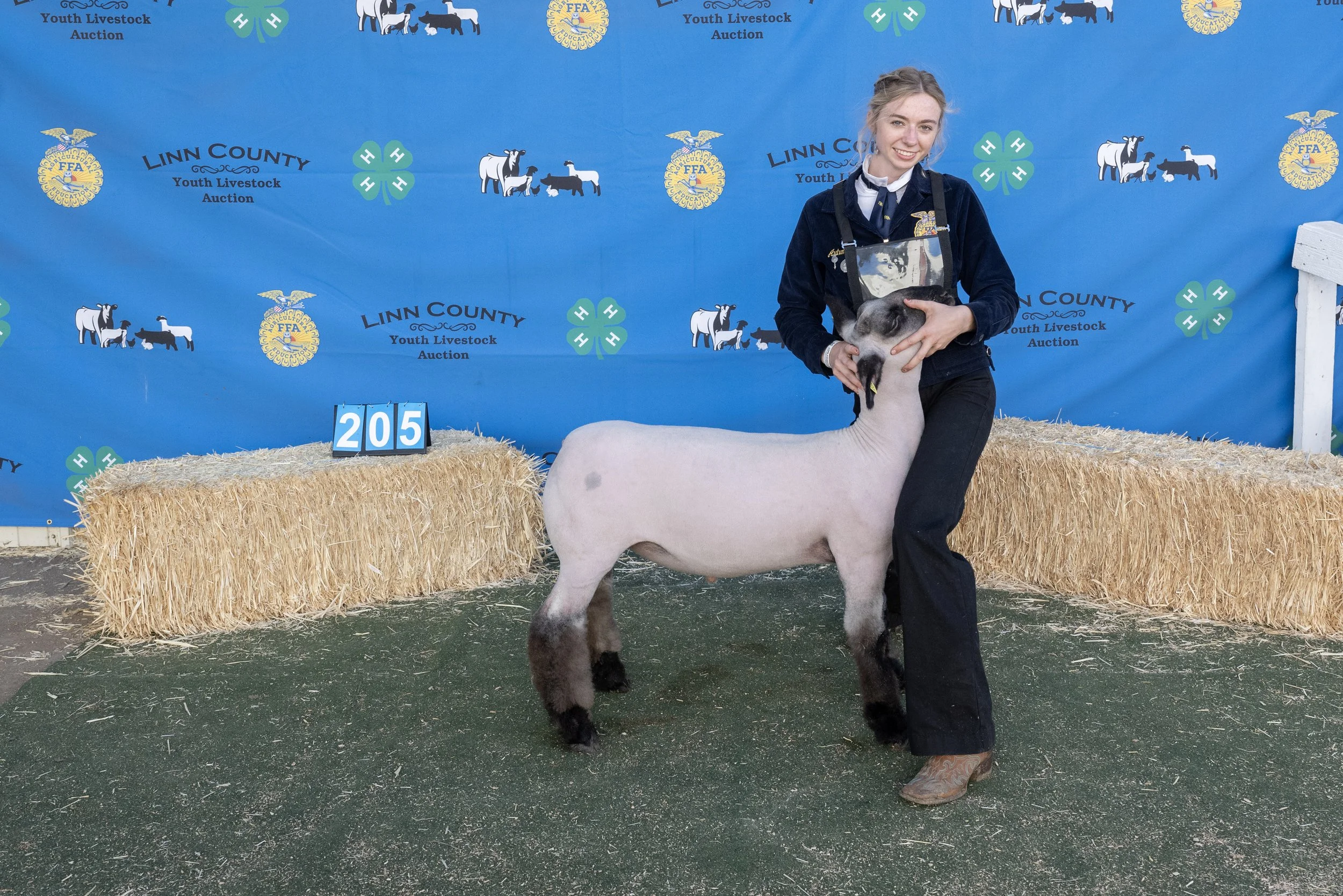 Sheep205 (1 of 1).JPG