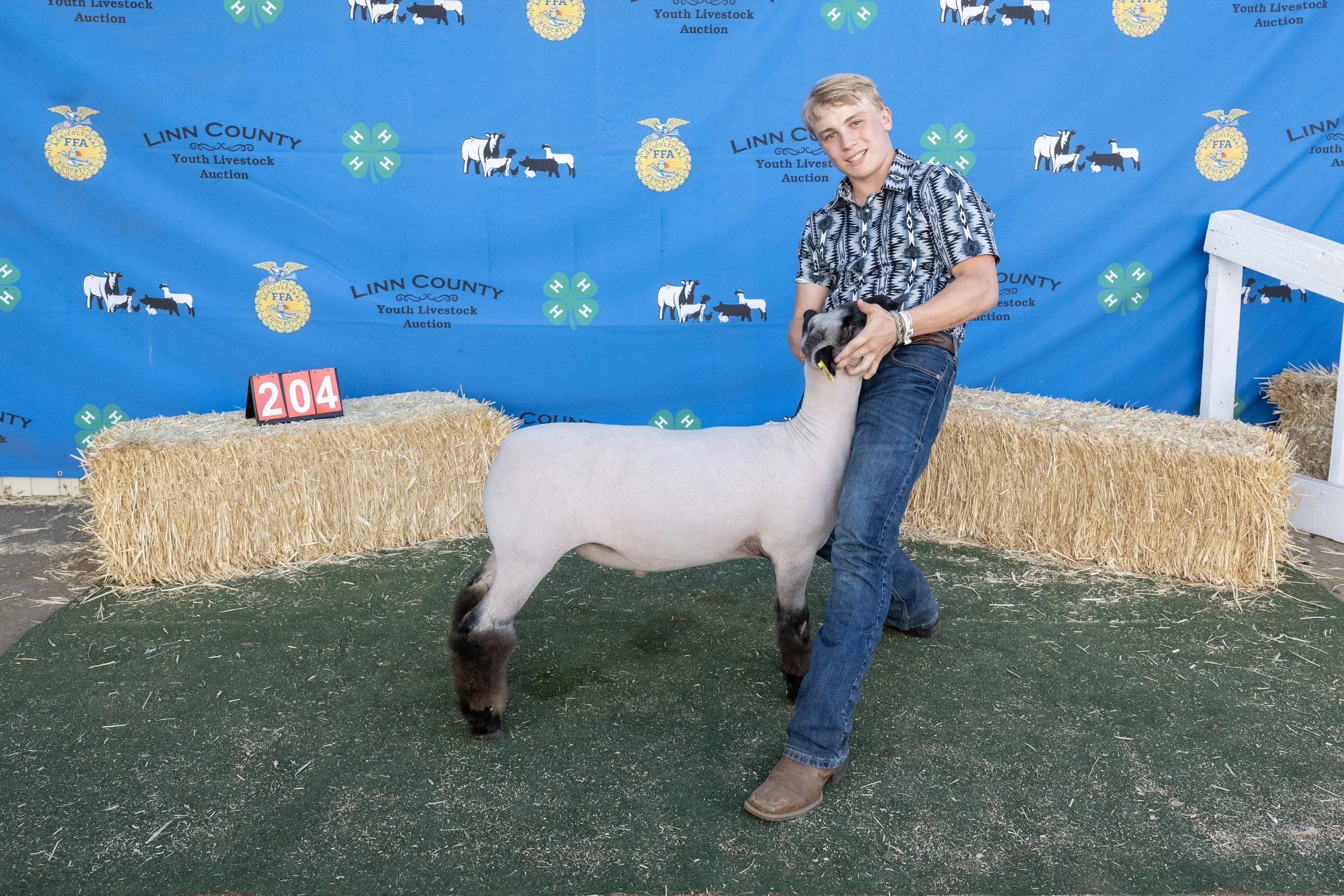 Sheep204 (1 of 1).JPG