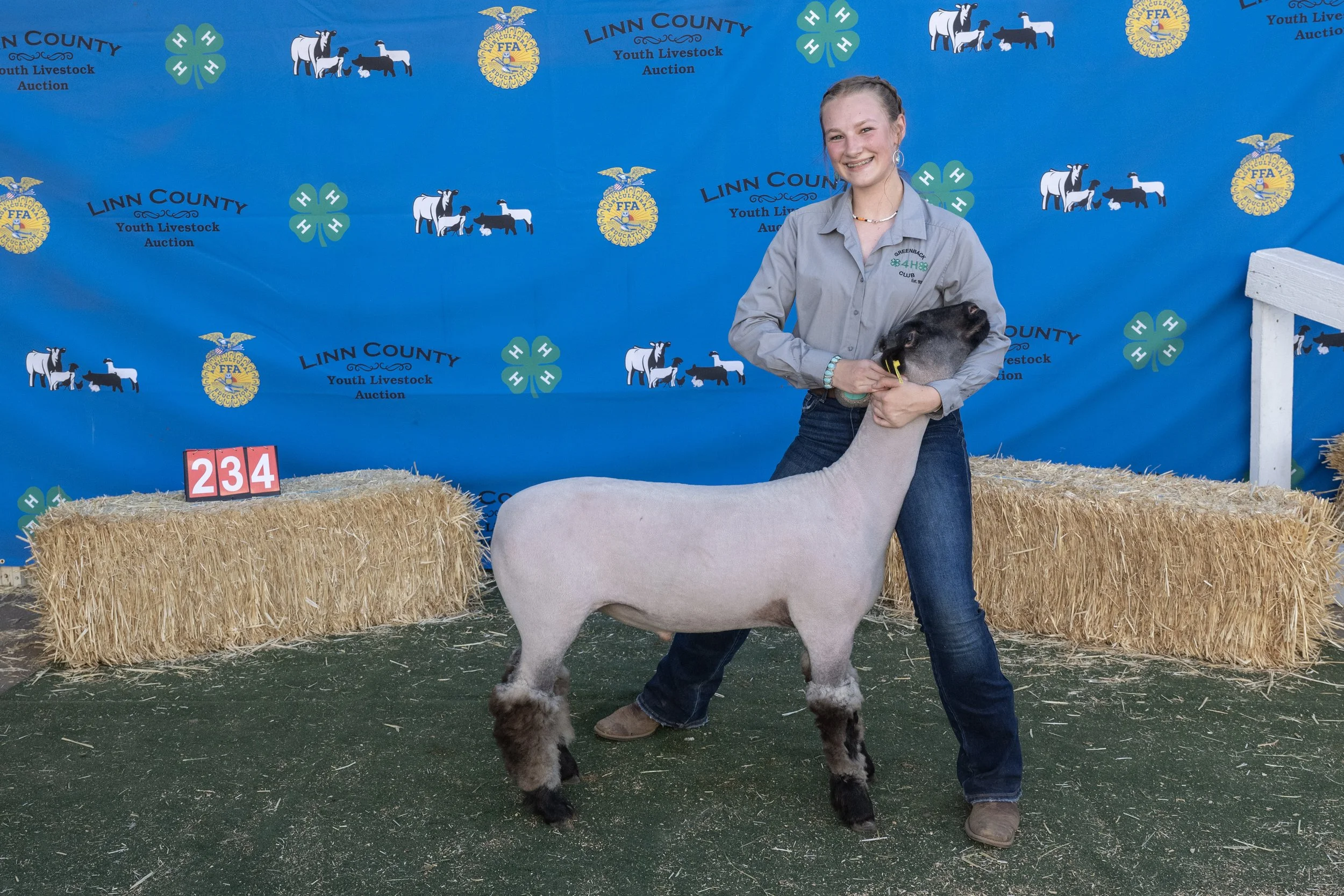Sheep234 (1 of 1).JPG
