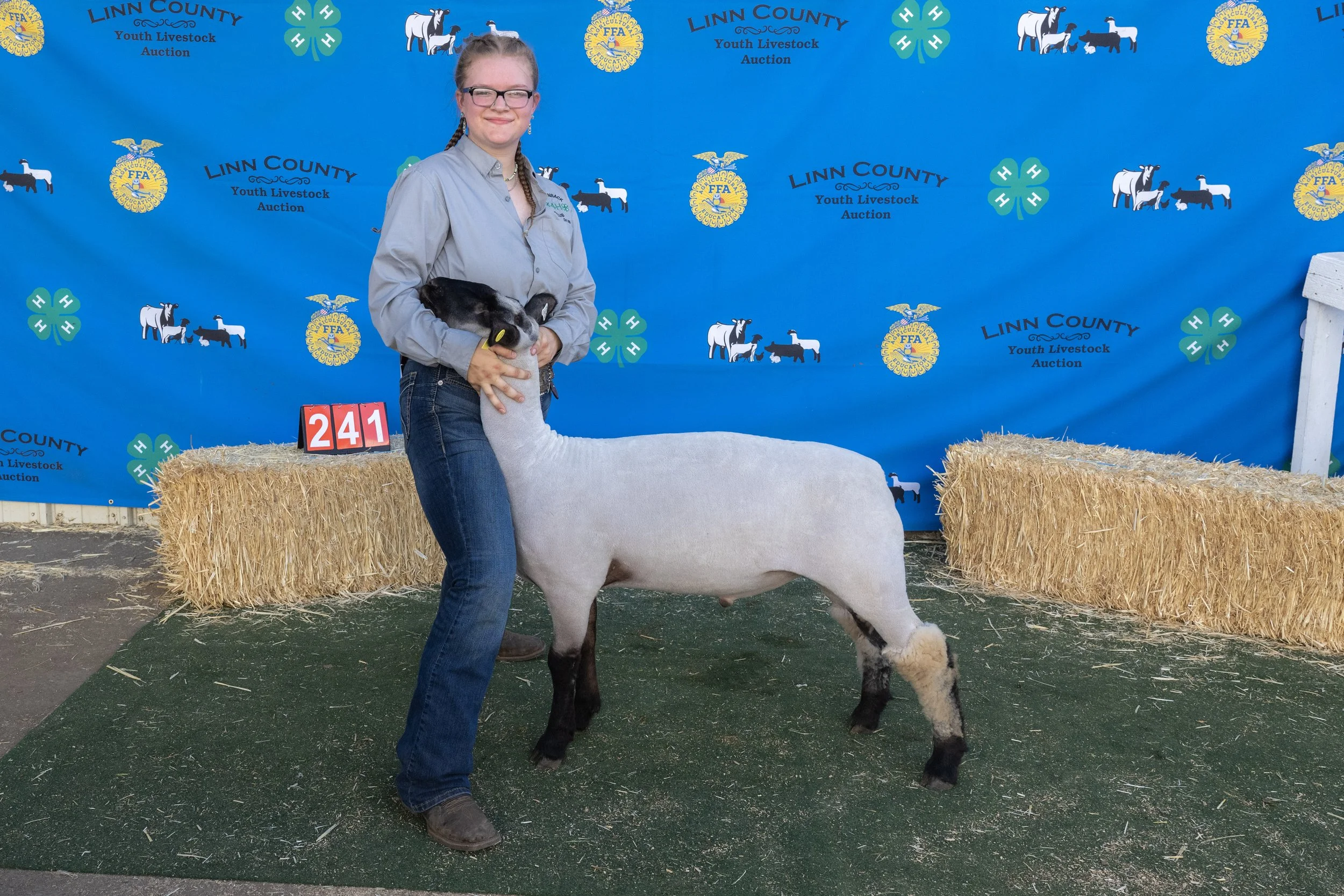 Sheep241 (1 of 1).JPG