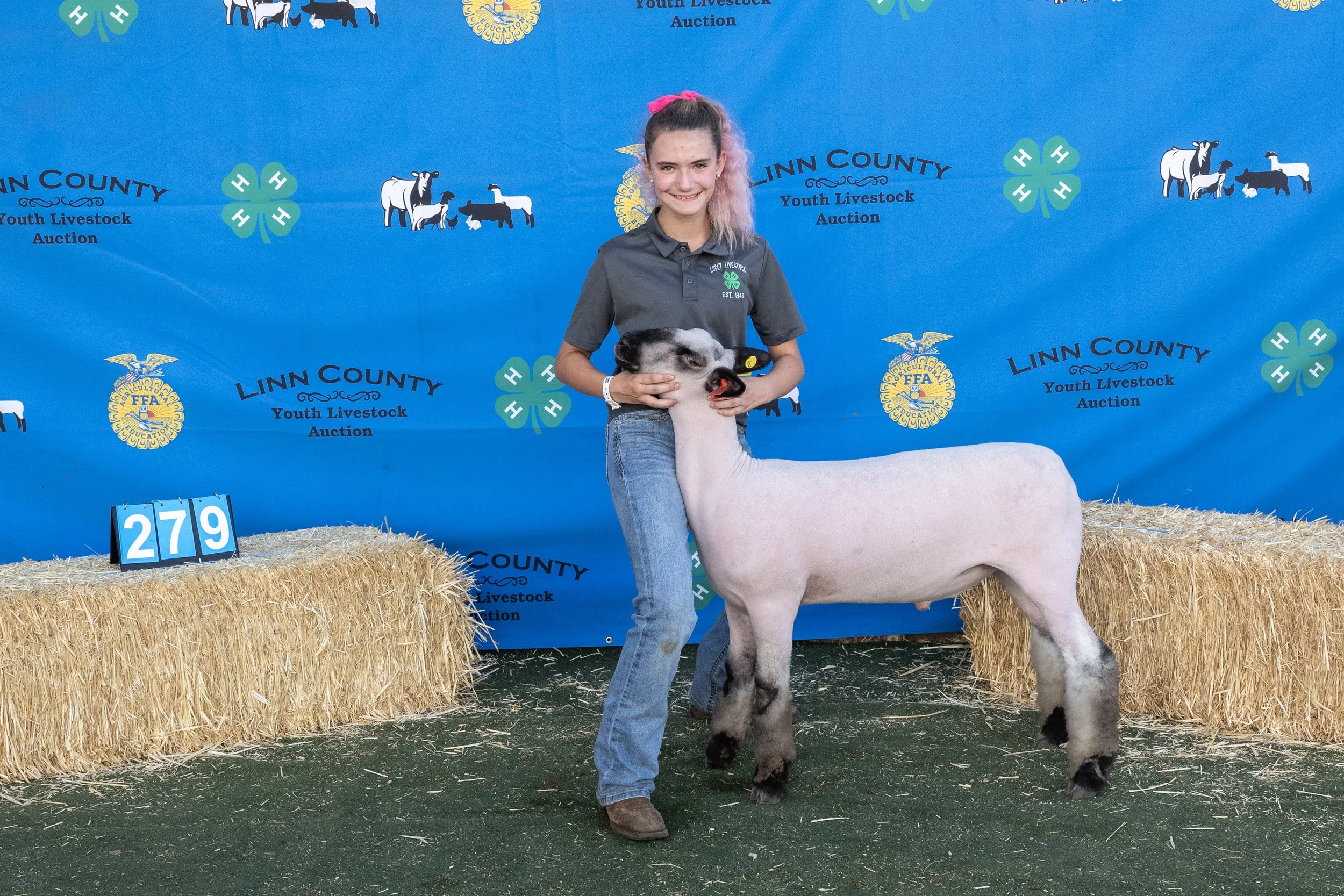 Sheep279 (1 of 1).JPG