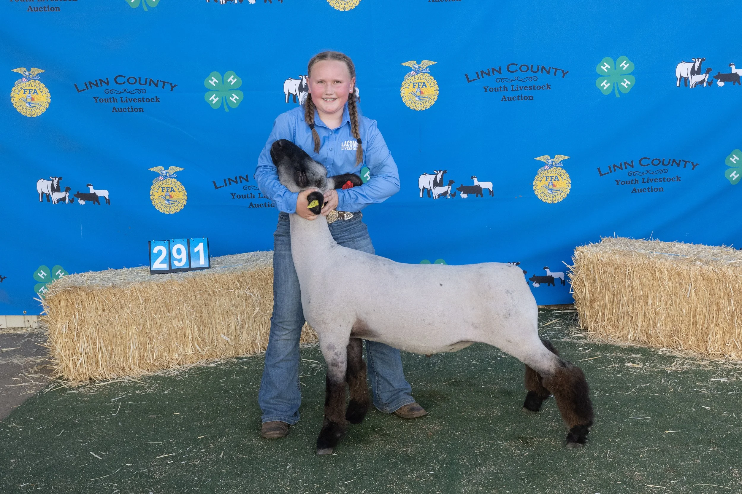 Sheep291 (1 of 1).JPG