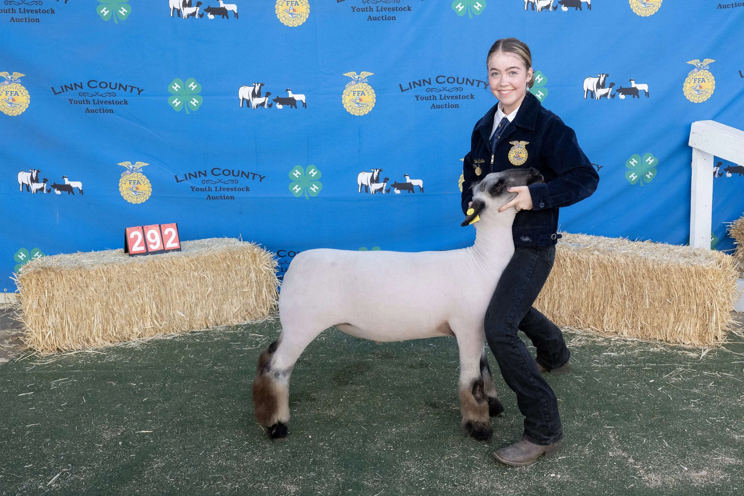 Sheep292 (1 of 1).JPG