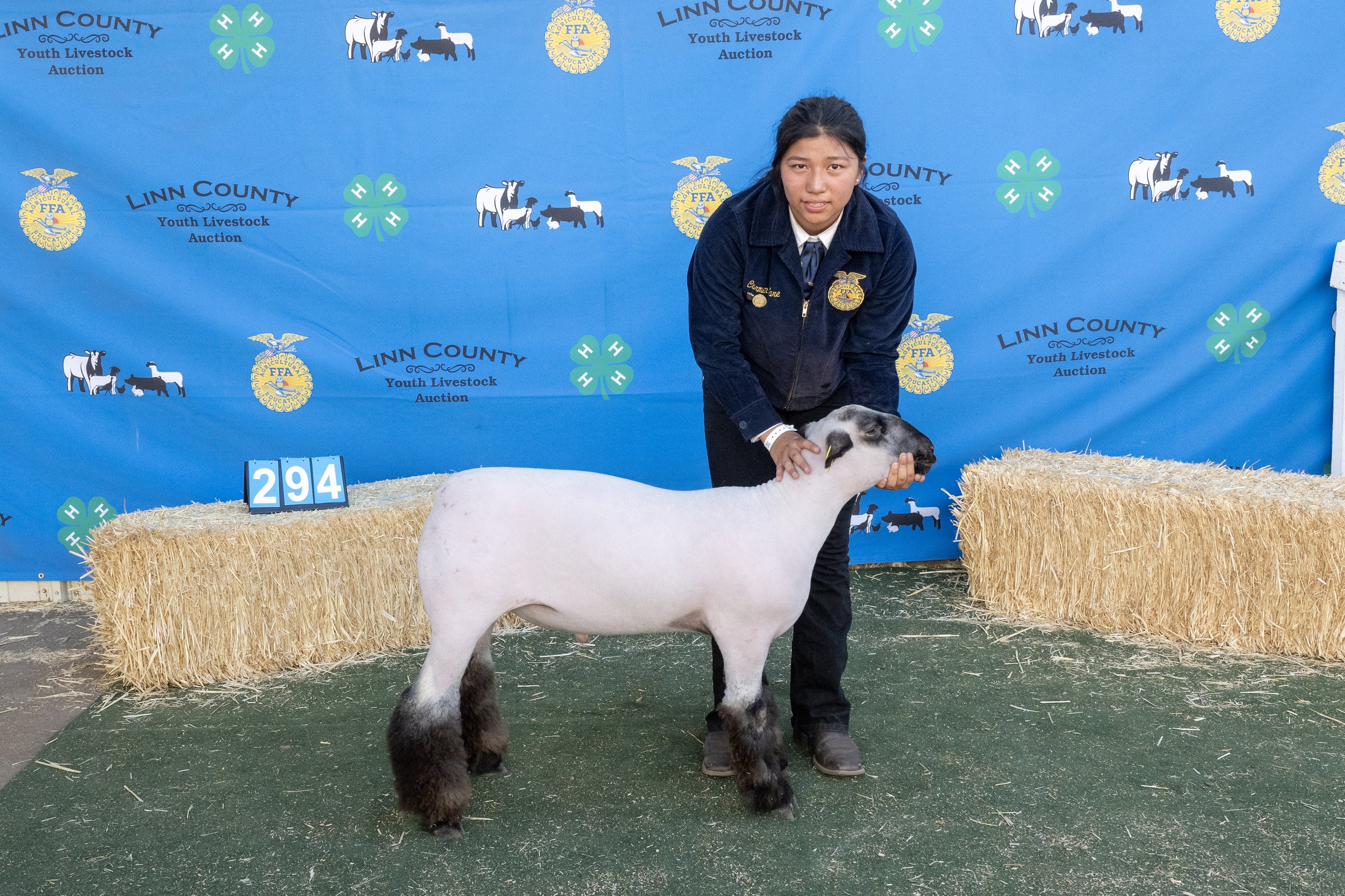 Sheep294 (1 of 1).JPG