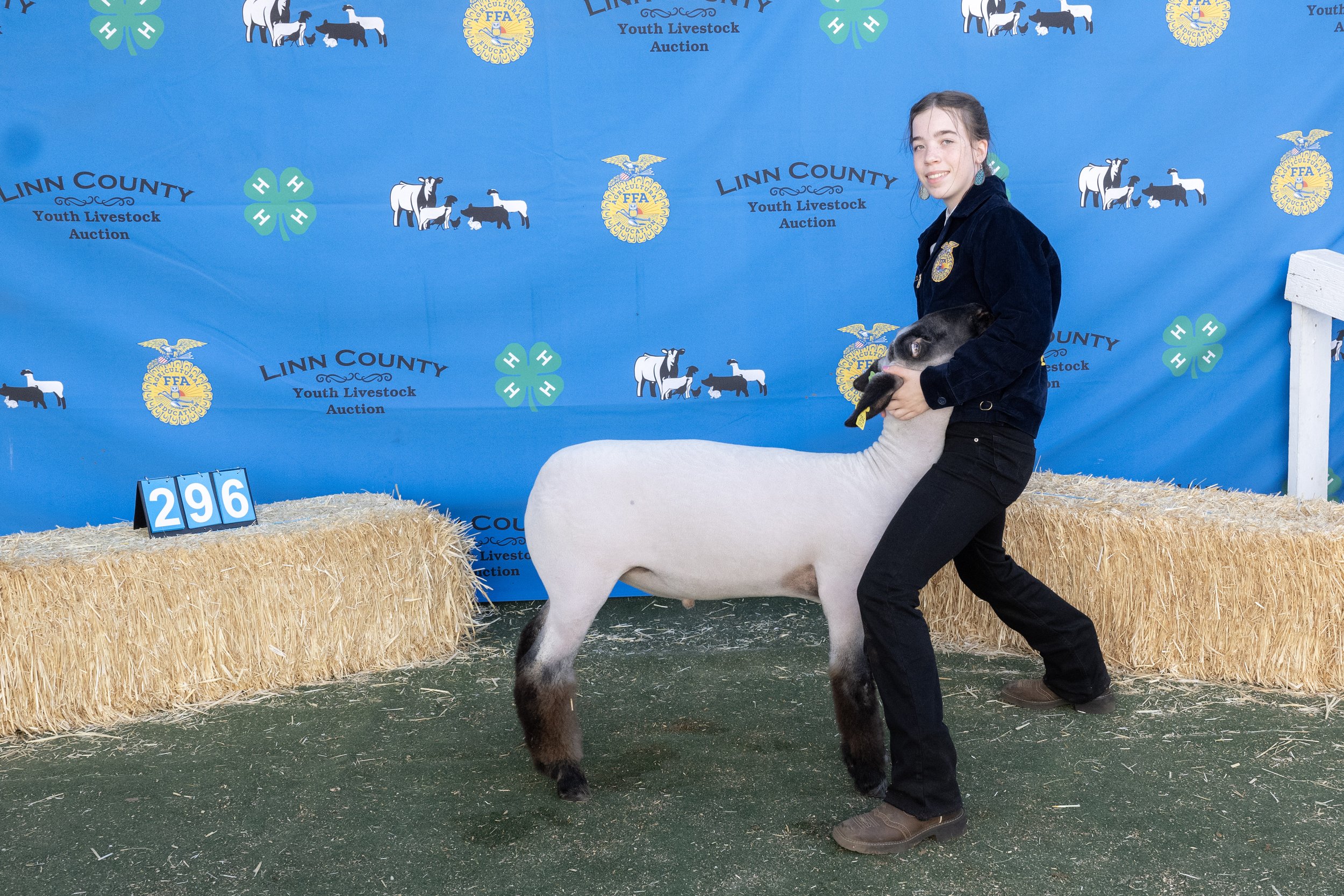 Sheep296 (1 of 1).JPG